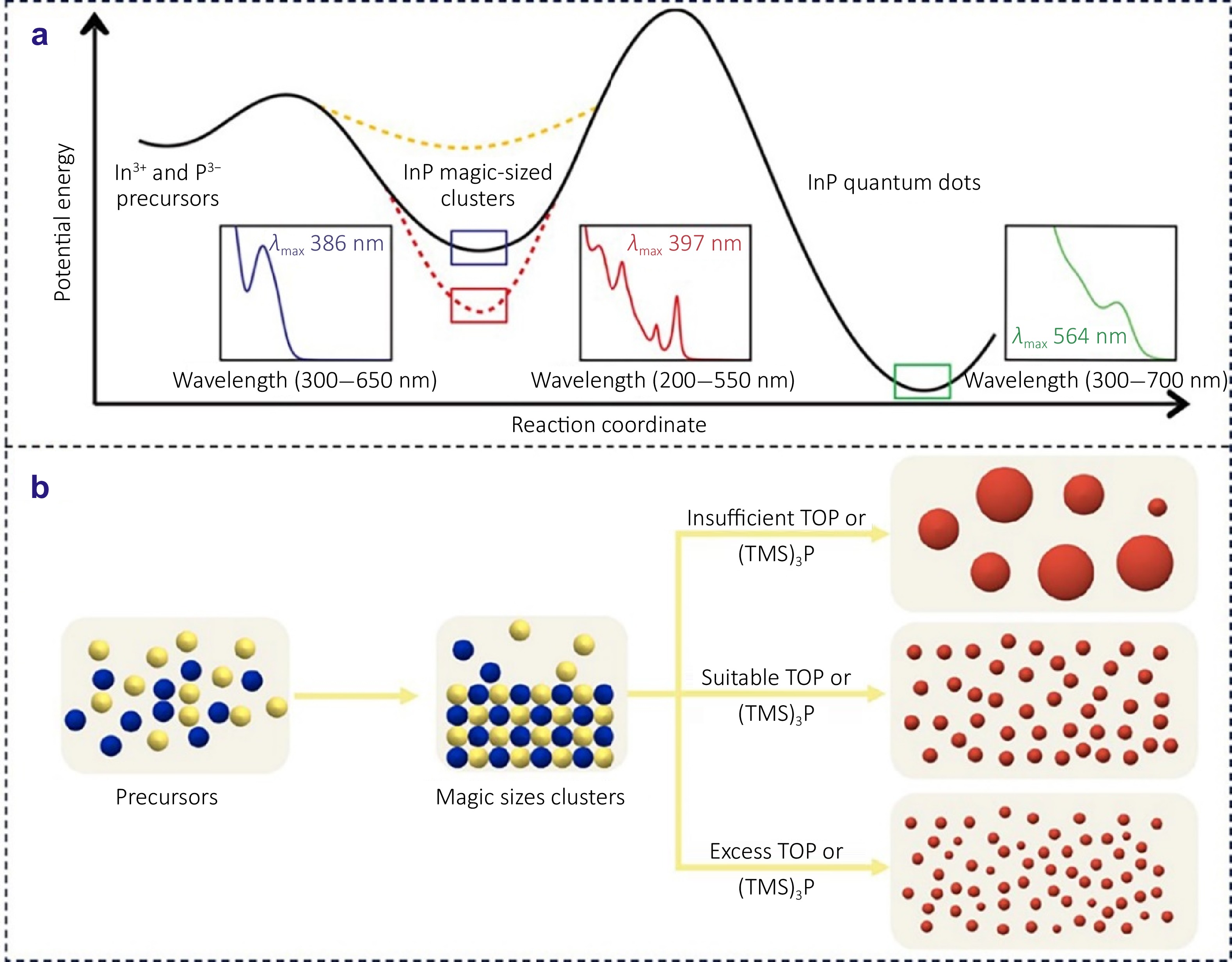 Overcoming challenges in InP-based quantum dots: from nucleation