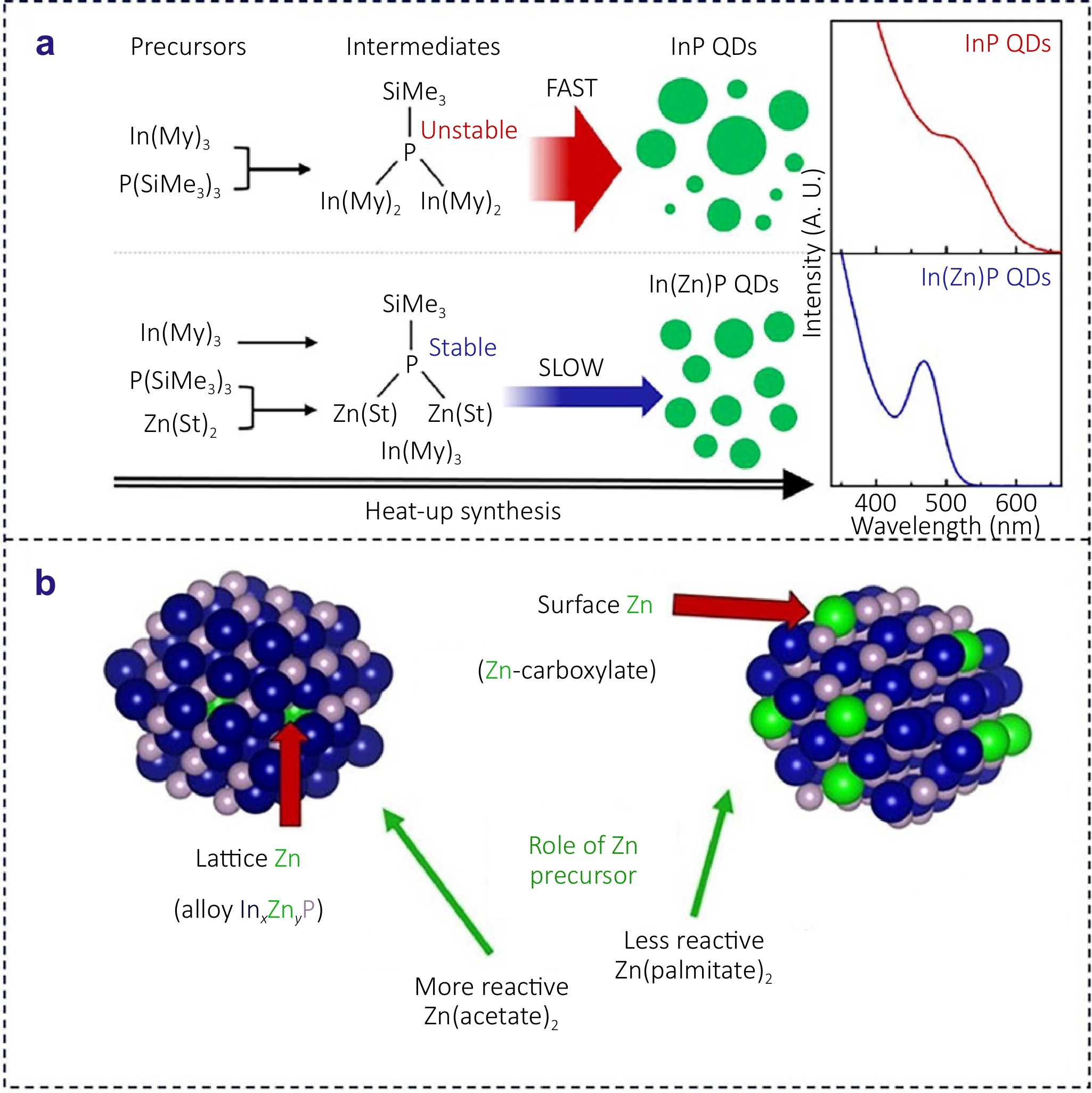 Overcoming challenges in InP-based quantum dots: from nucleation