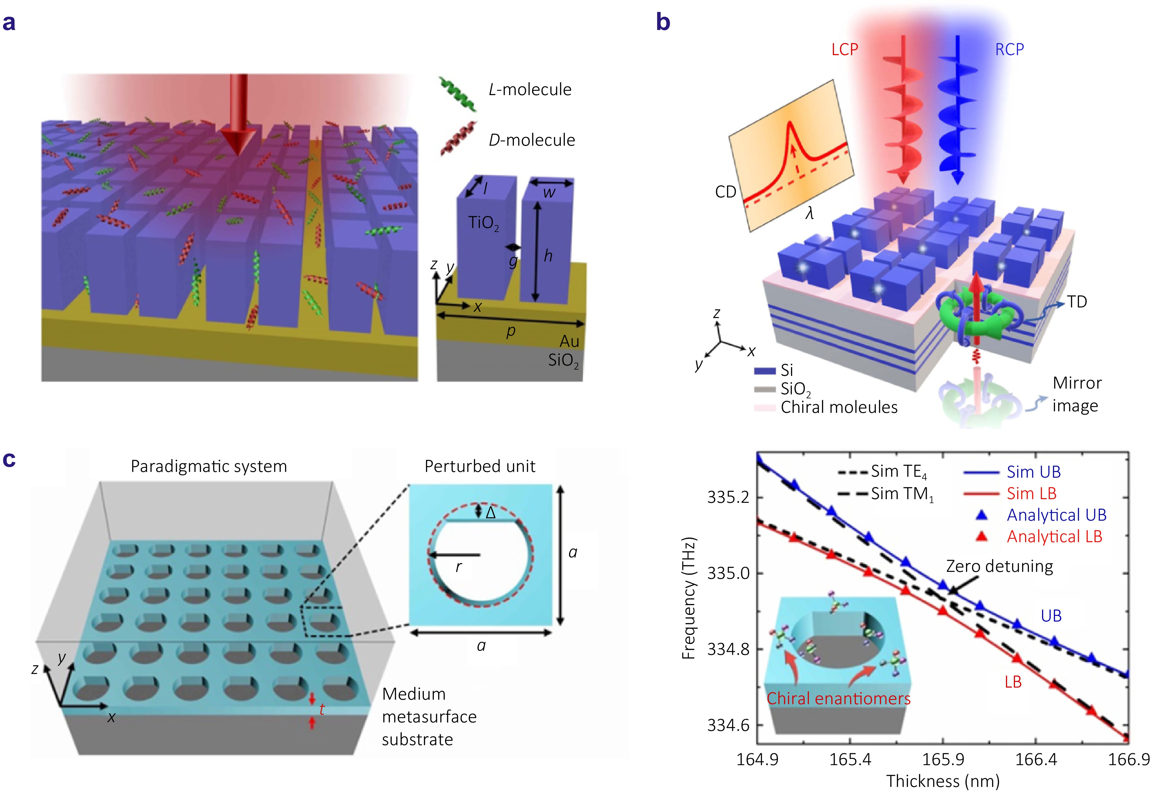 Emerging optical techniques for sorting and detection of chiral