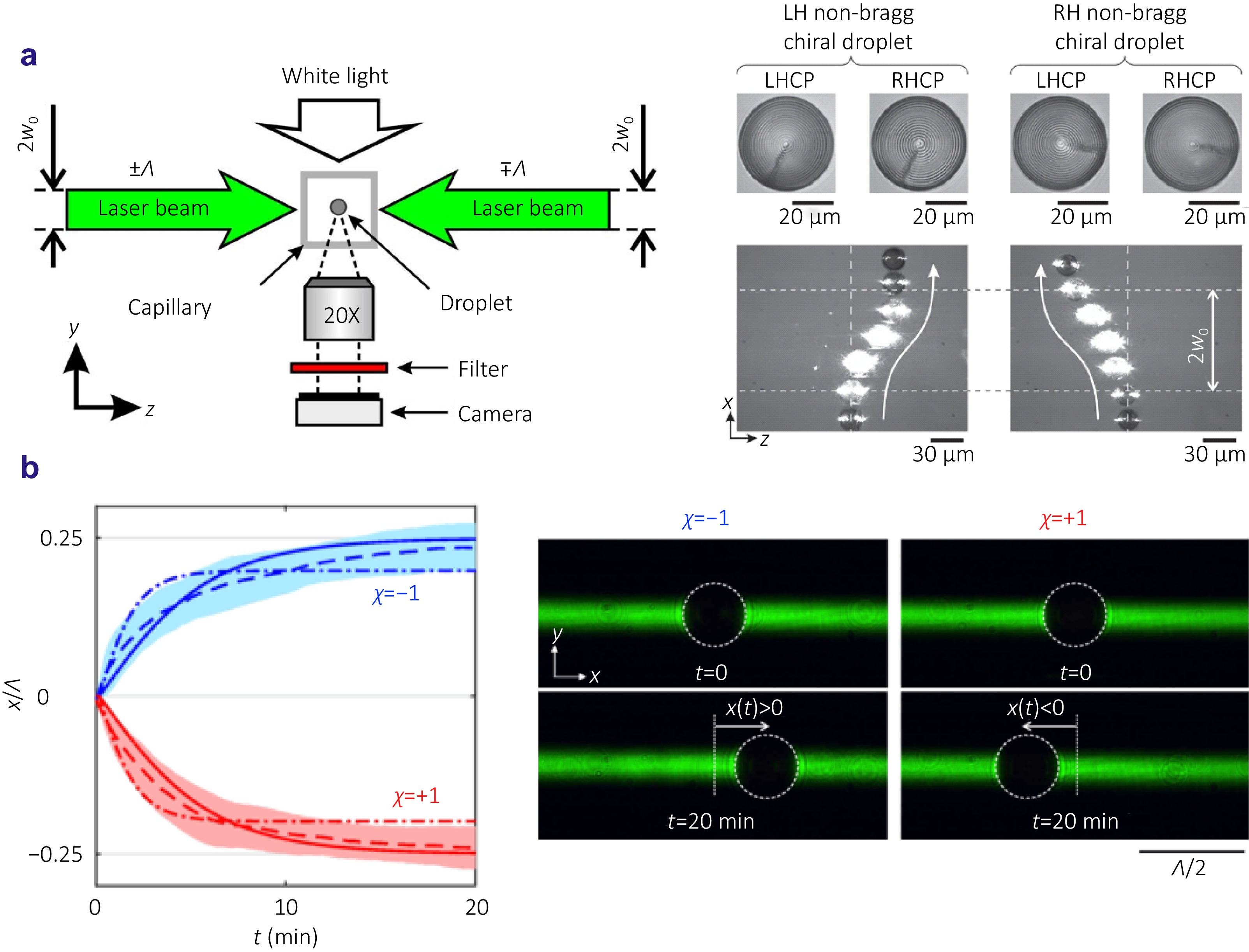 Emerging optical techniques for sorting and detection of chiral