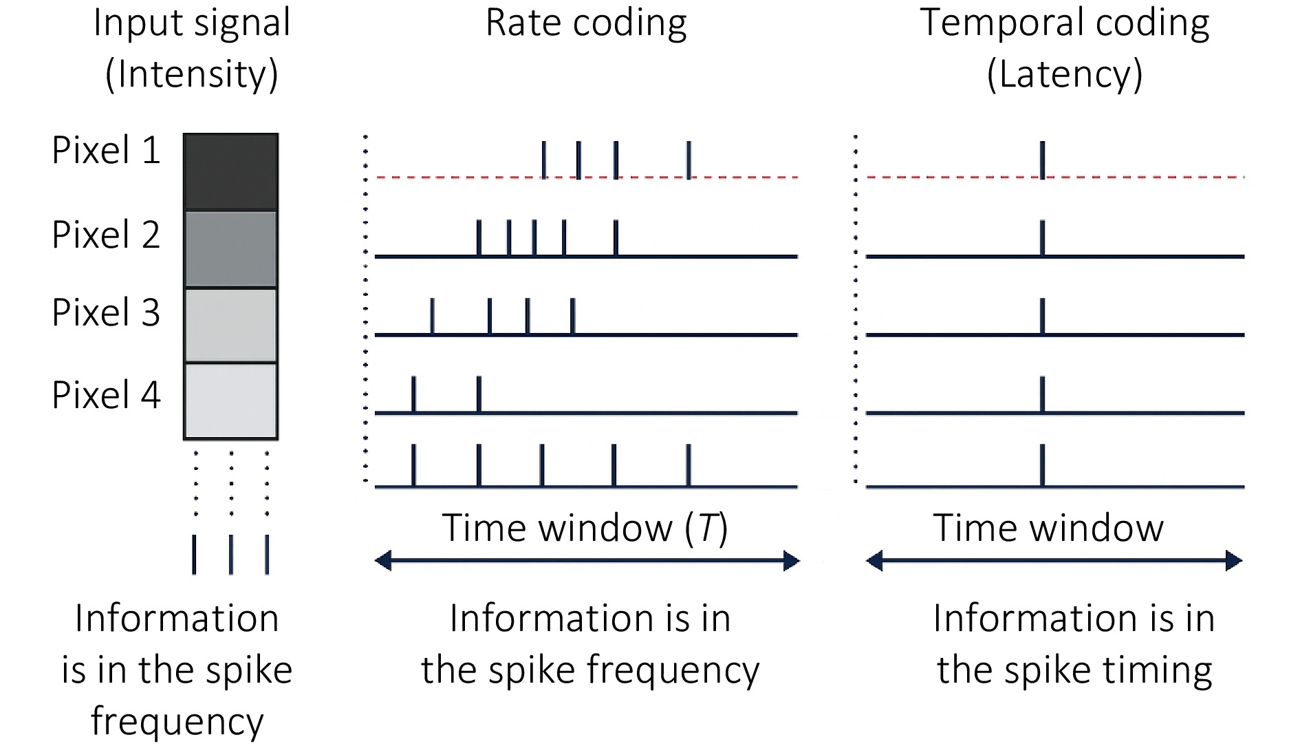 Spiking neural networks for object detection and semantic