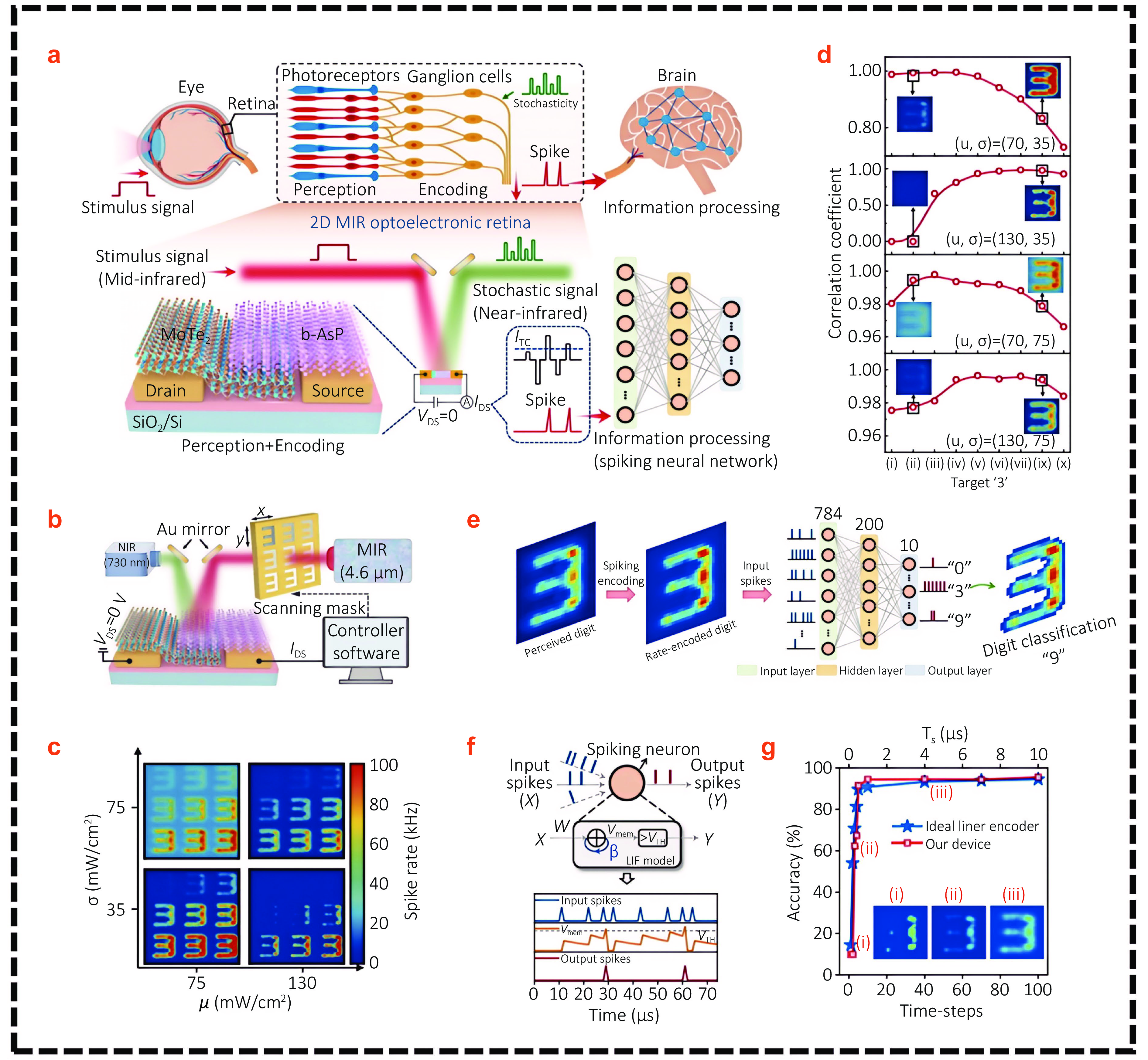 Research progress on deep learning-based design and application of