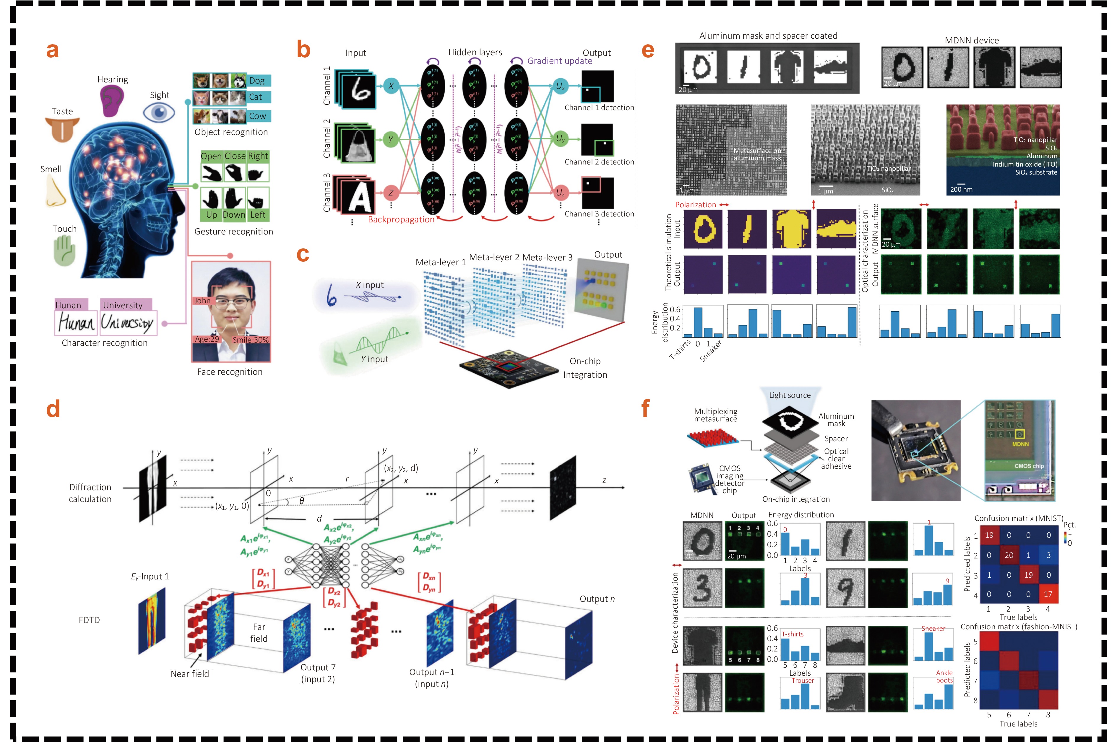 Research progress on deep learning-based design and application of