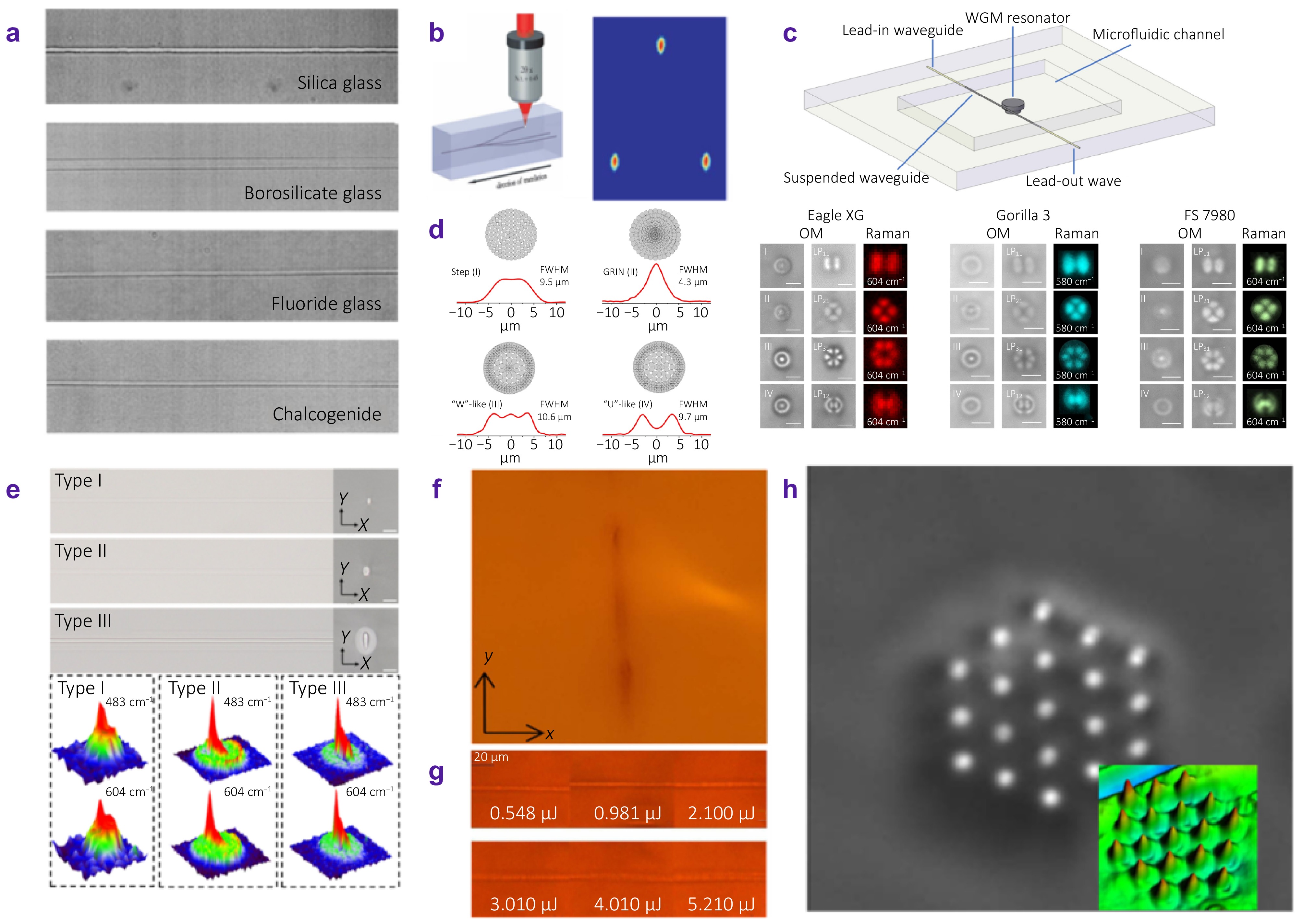On-chip integrated passive devices fabricated by femtosecond laser