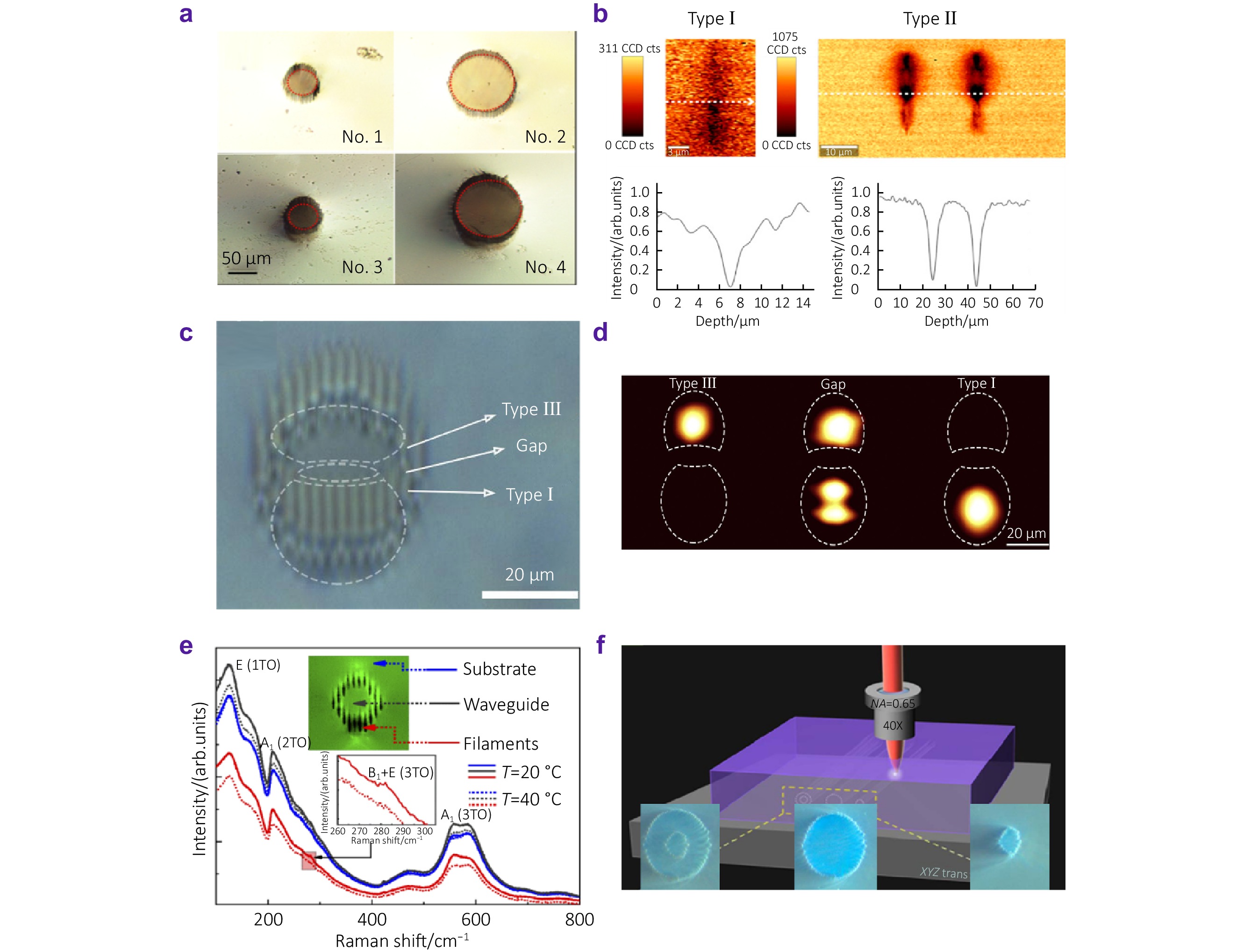 On-chip integrated passive devices fabricated by femtosecond laser