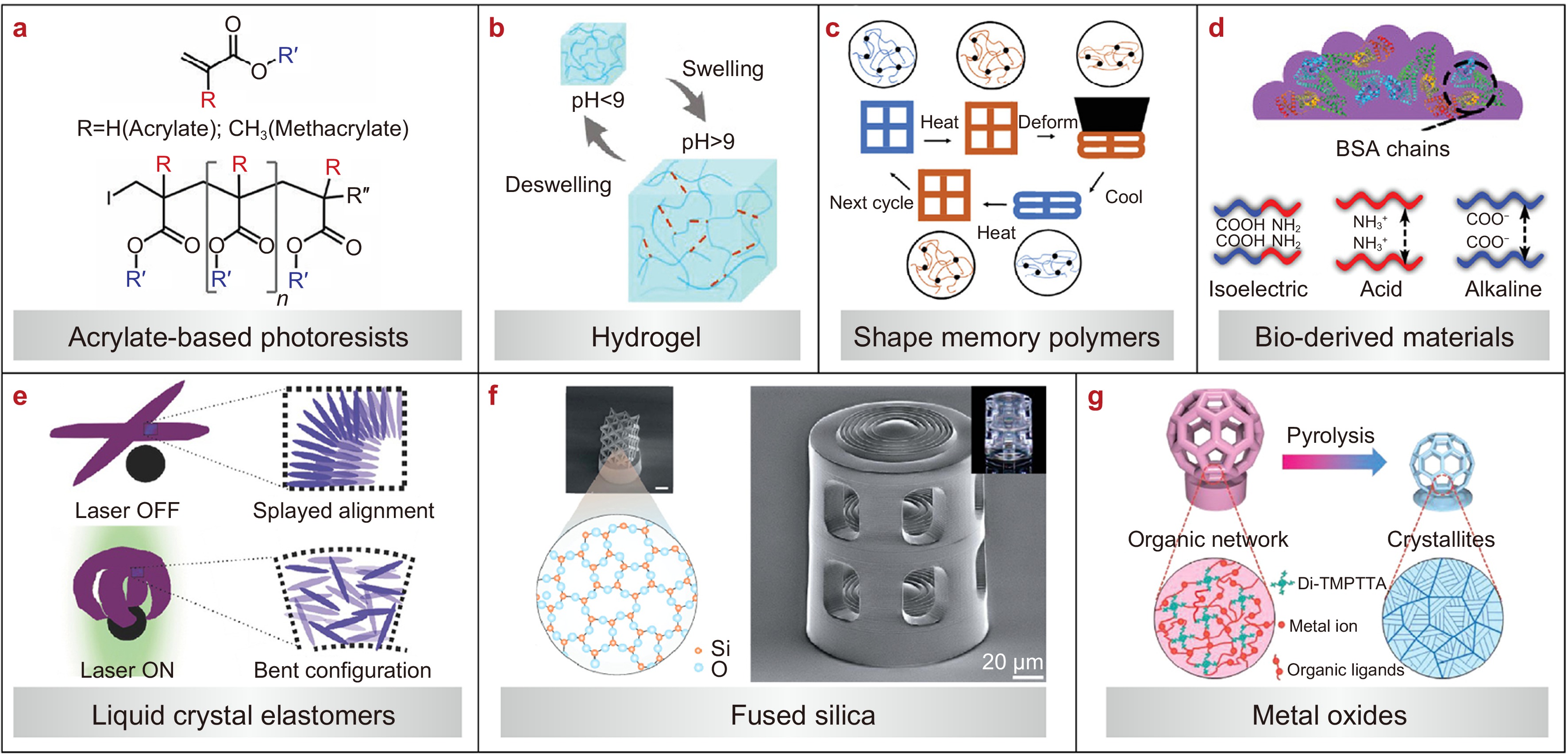 Recent advances in biomimetic micro/nanomanufacturing via