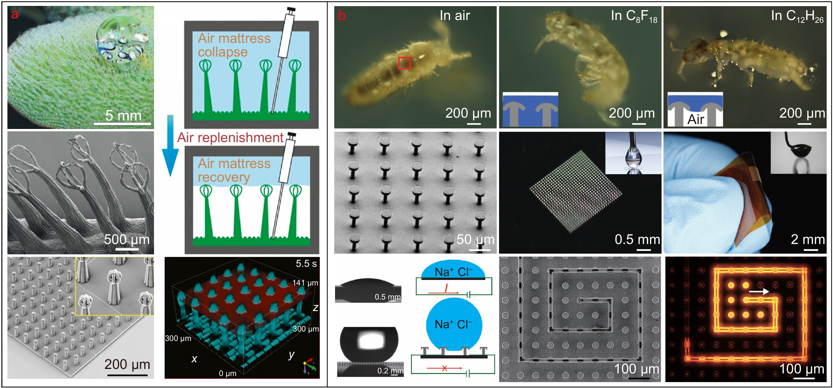 Recent advances in biomimetic micro/nanomanufacturing via