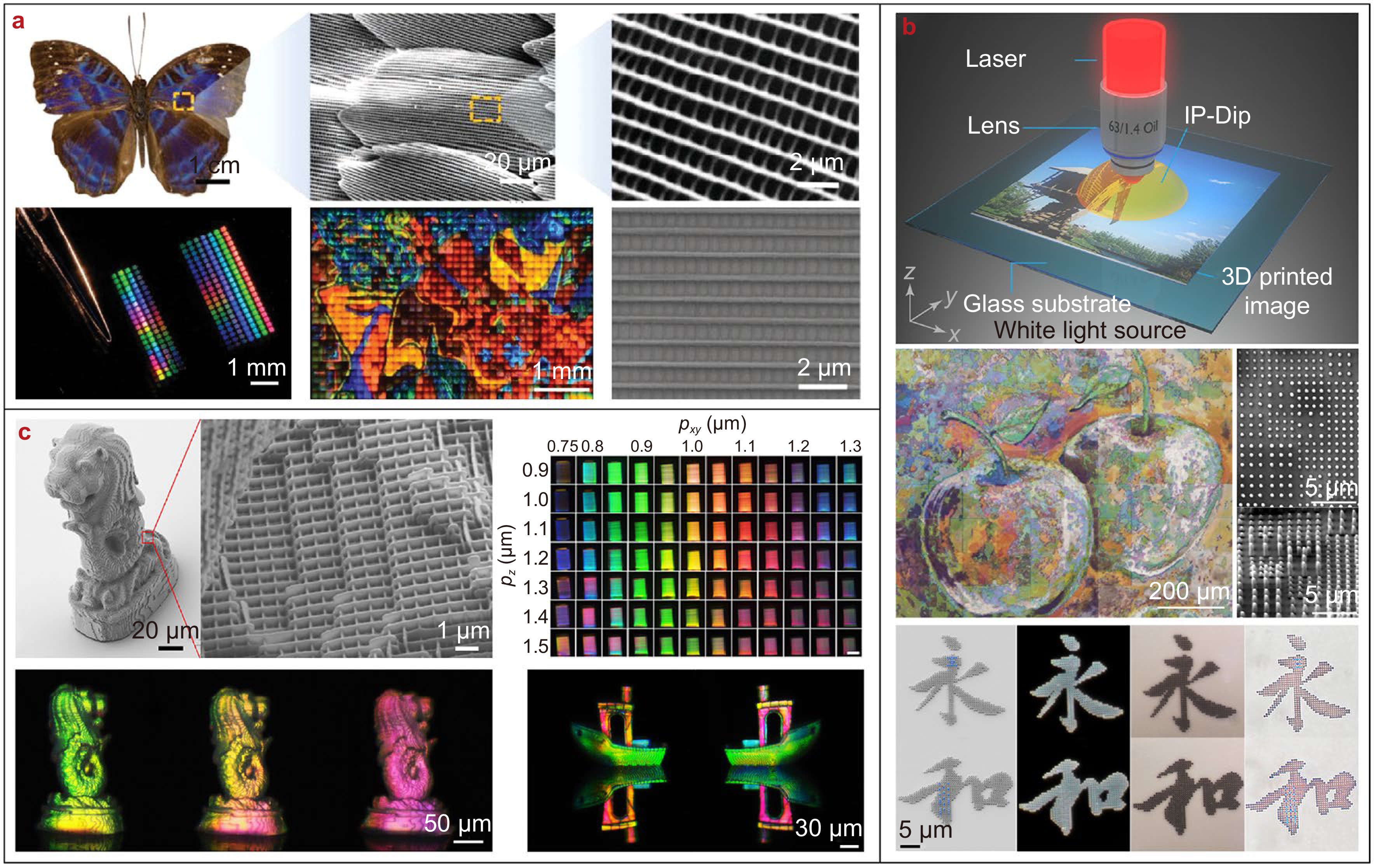 チャムvol.1 mqdefault.jpg