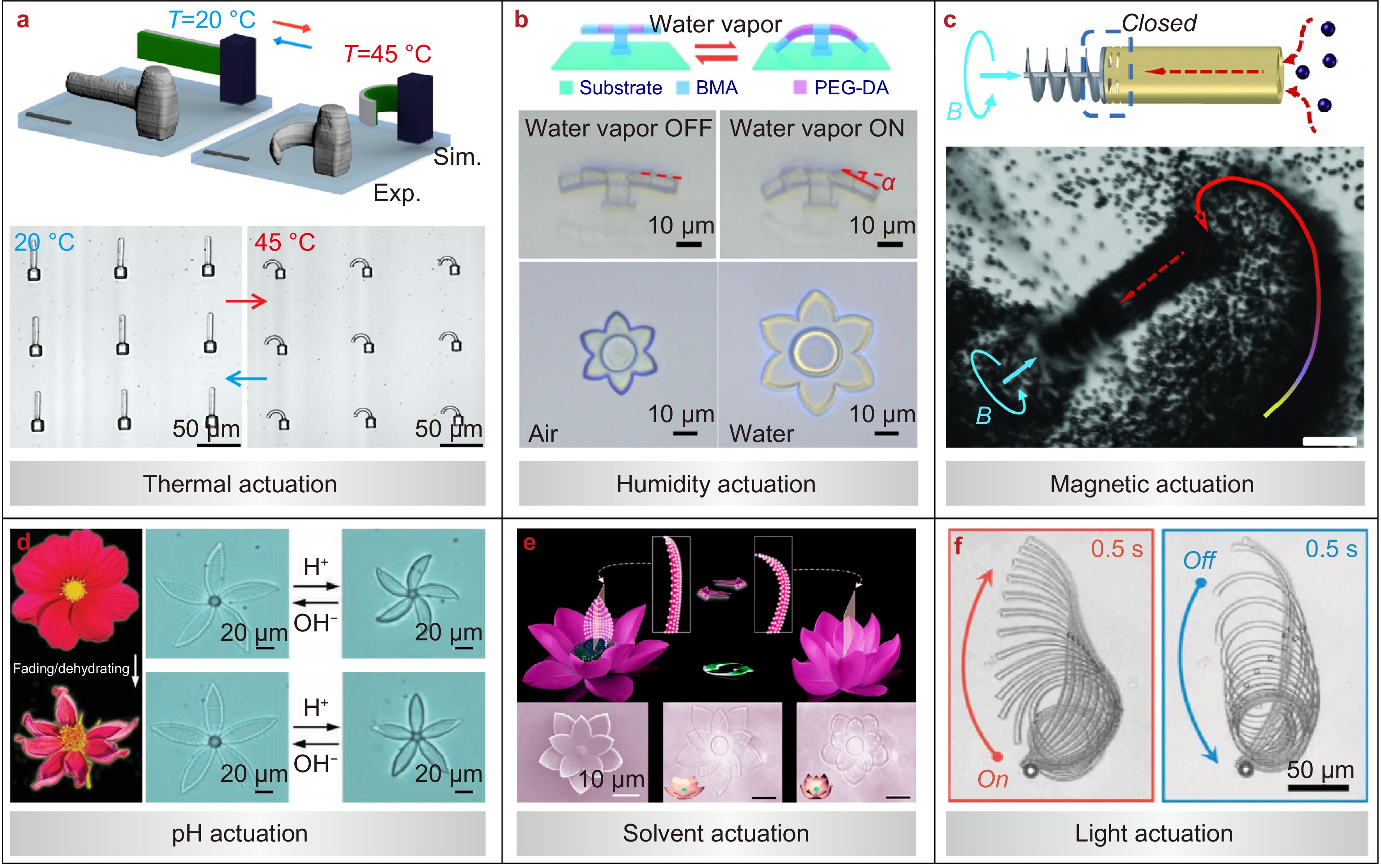 Recent advances in biomimetic micro/nanomanufacturing via