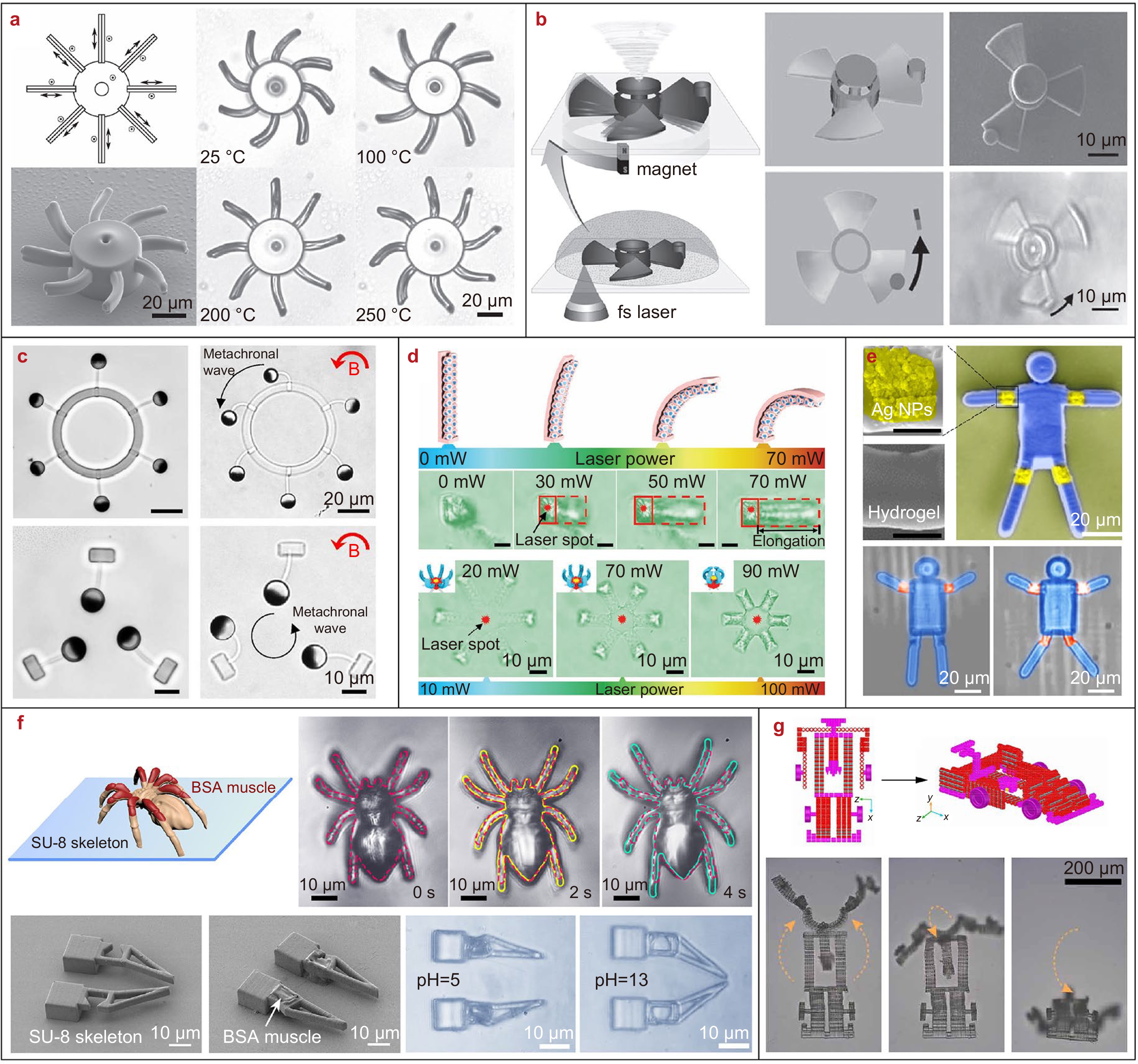 チャムvol.1 Recent advances in biomimetic micro/nanomanufacturing via