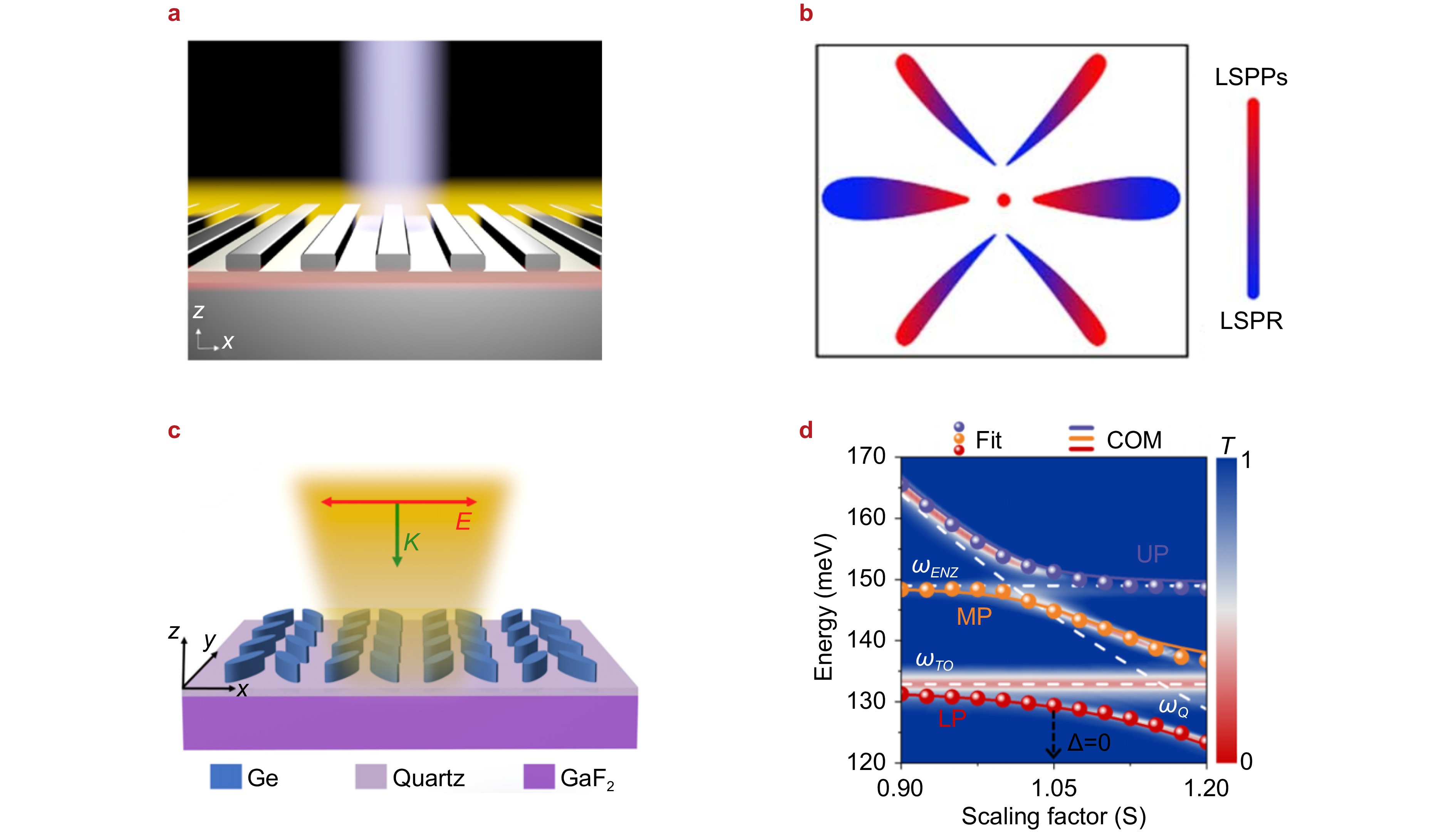 Light-matter interaction in strong coupling regime based on