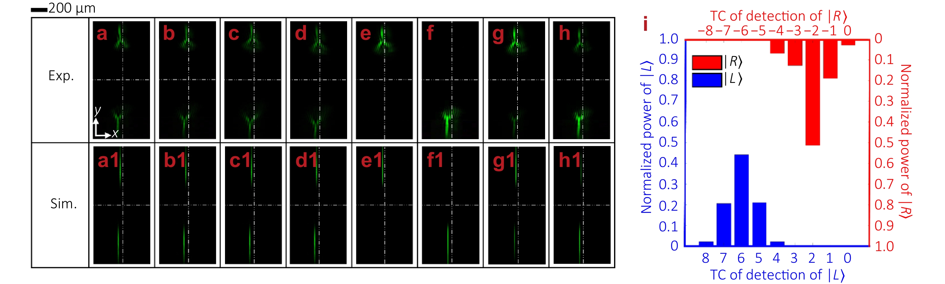 Simultaneous dynamic detection of phase and polarization