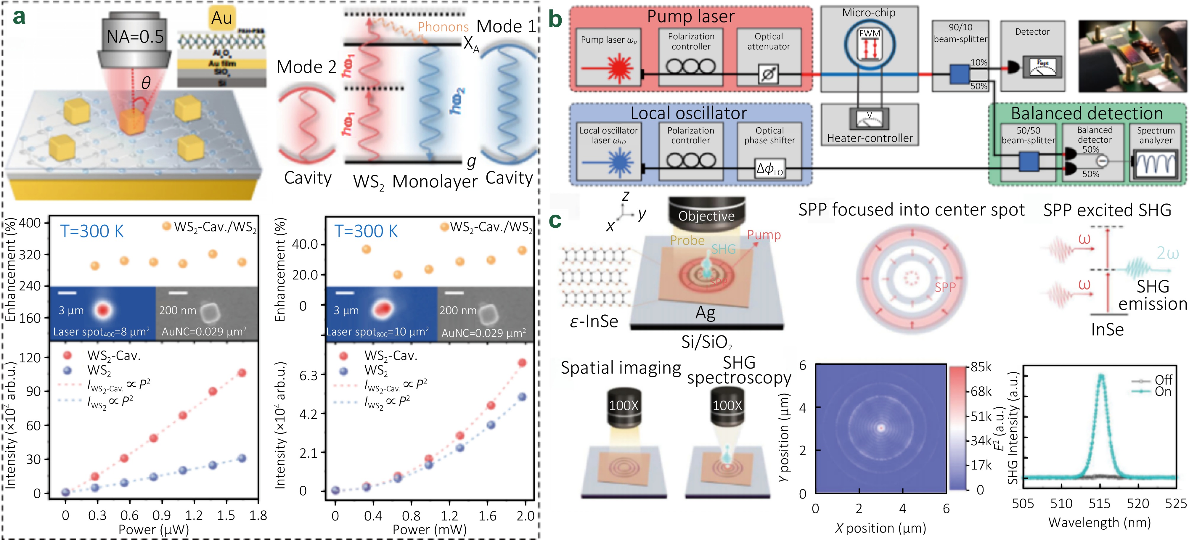 Dynamic modulation and spectroscopic applications of plasmonic