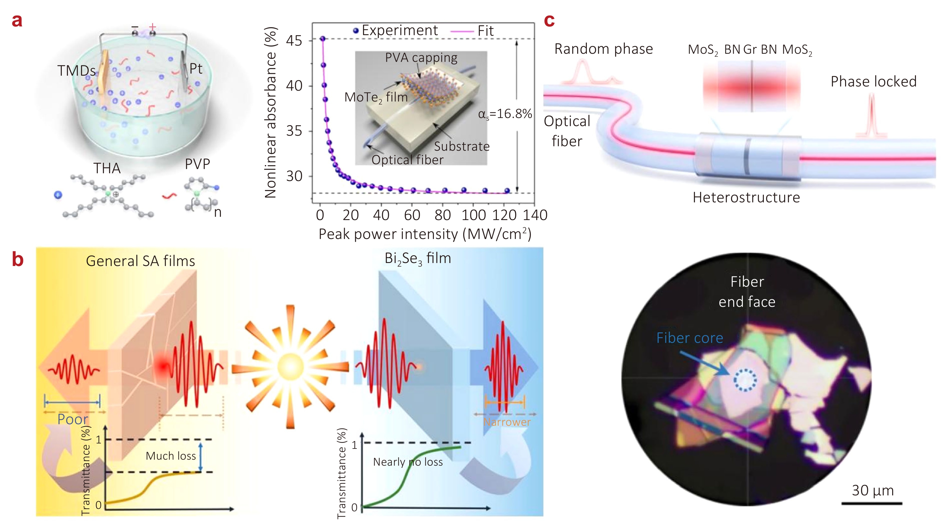 Recent advances in ultrafast fiber laser: science & applications