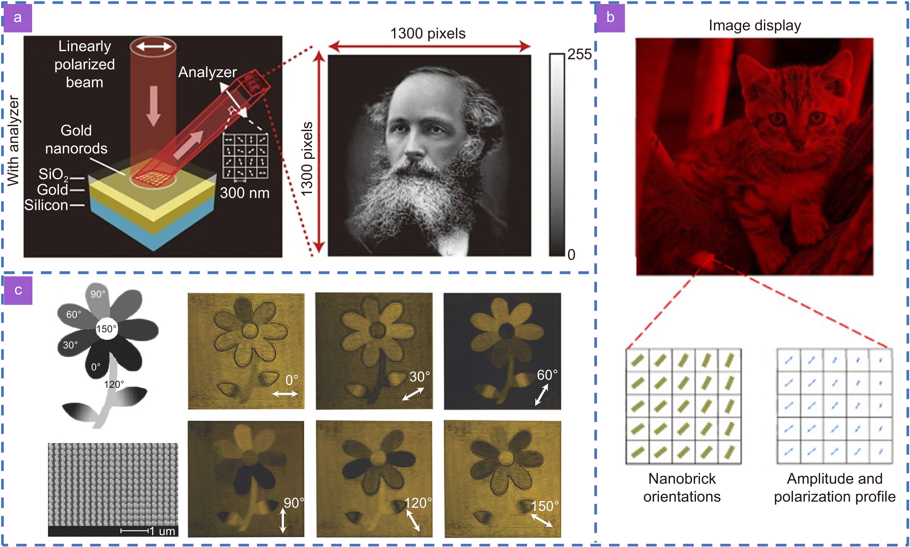 TXTセット Metasurface-based nanoprinting: principle, design and advances