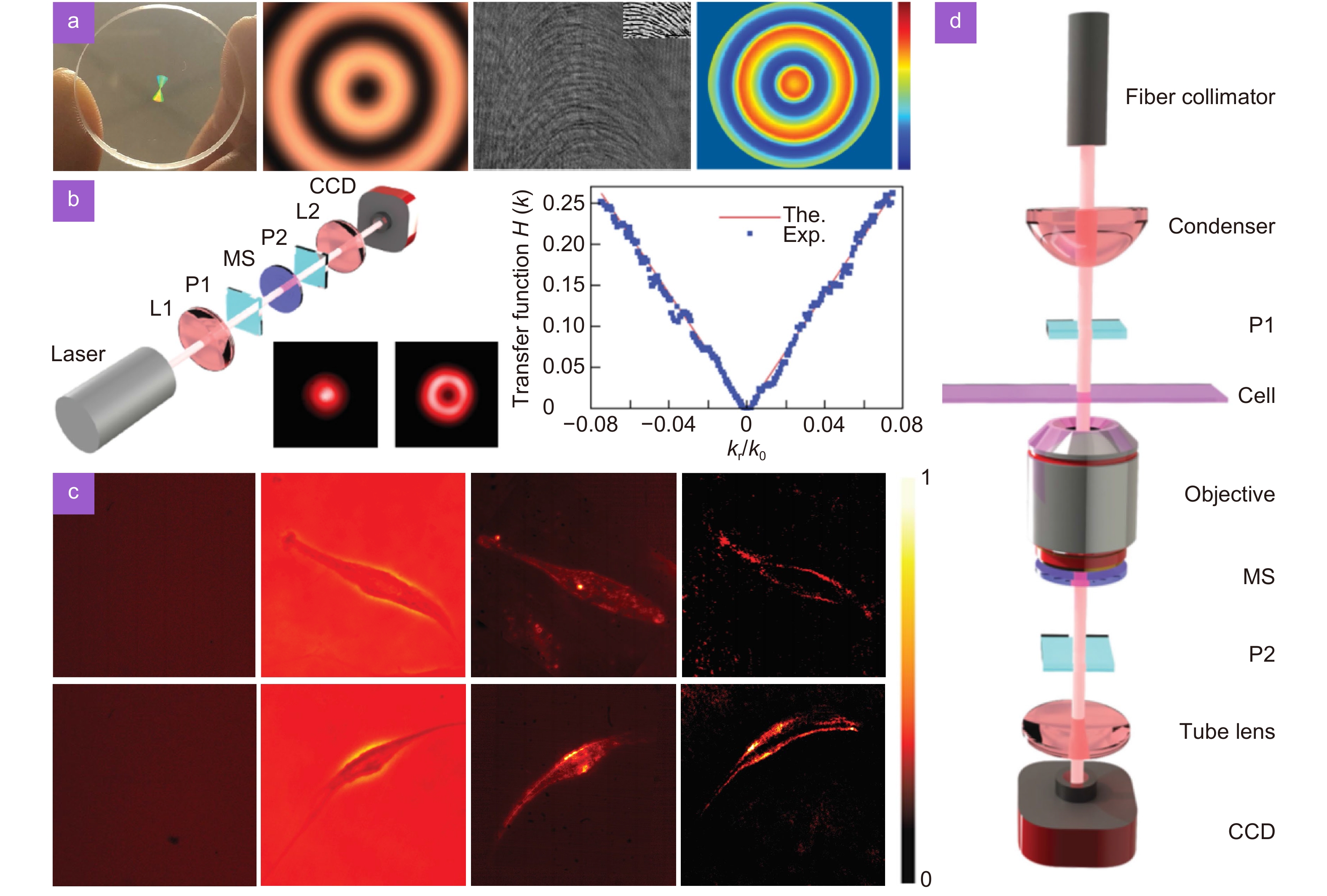 Photonic spin Hall effect: fundamentals and emergent
