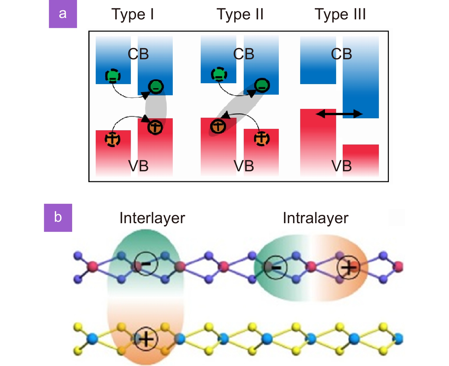 Perovskite-transition metal dichalcogenides heterostructures