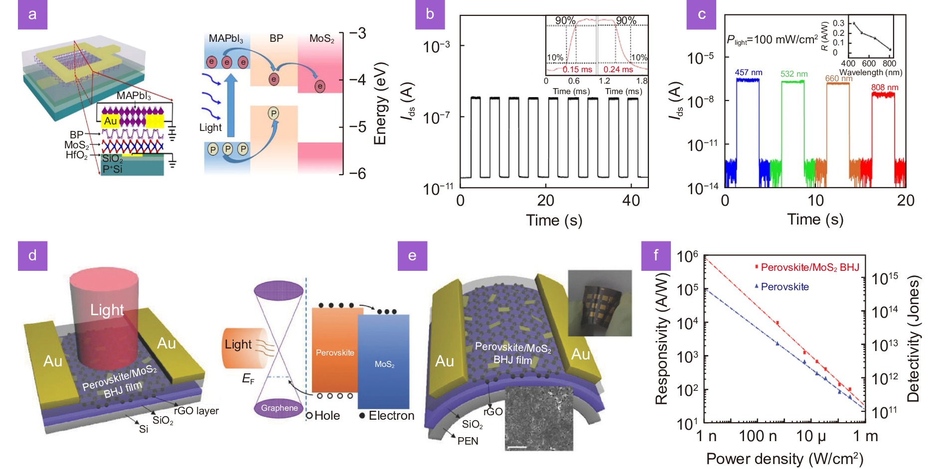 Perovskite-transition metal dichalcogenides heterostructures