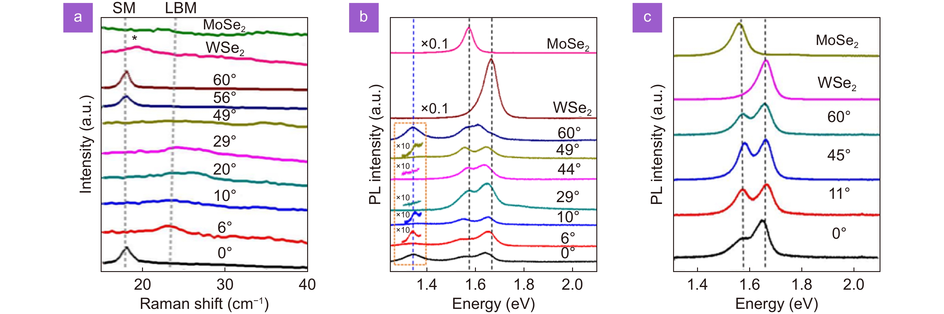 Perovskite-transition metal dichalcogenides heterostructures
