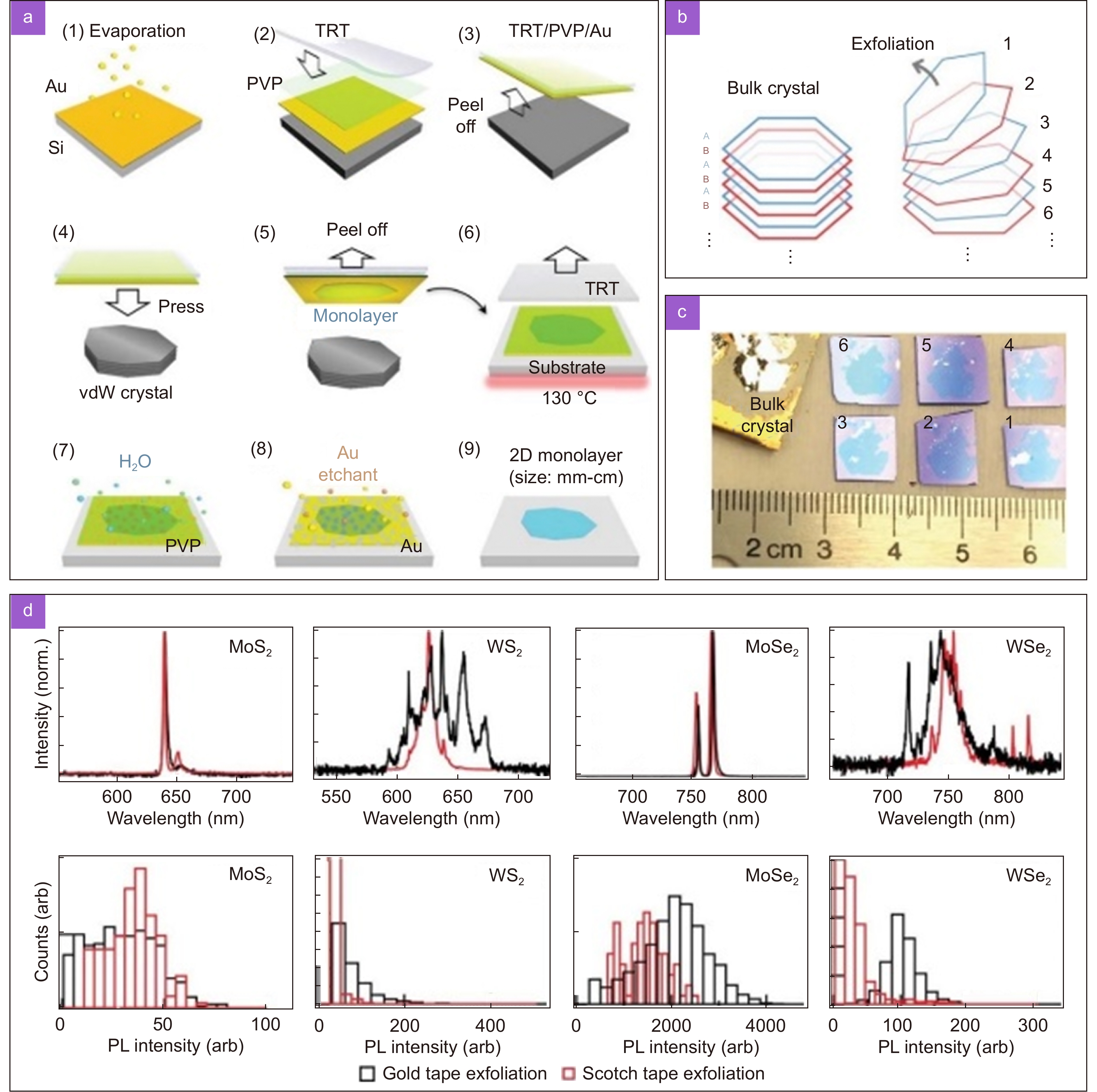 Perovskite-transition metal dichalcogenides heterostructures