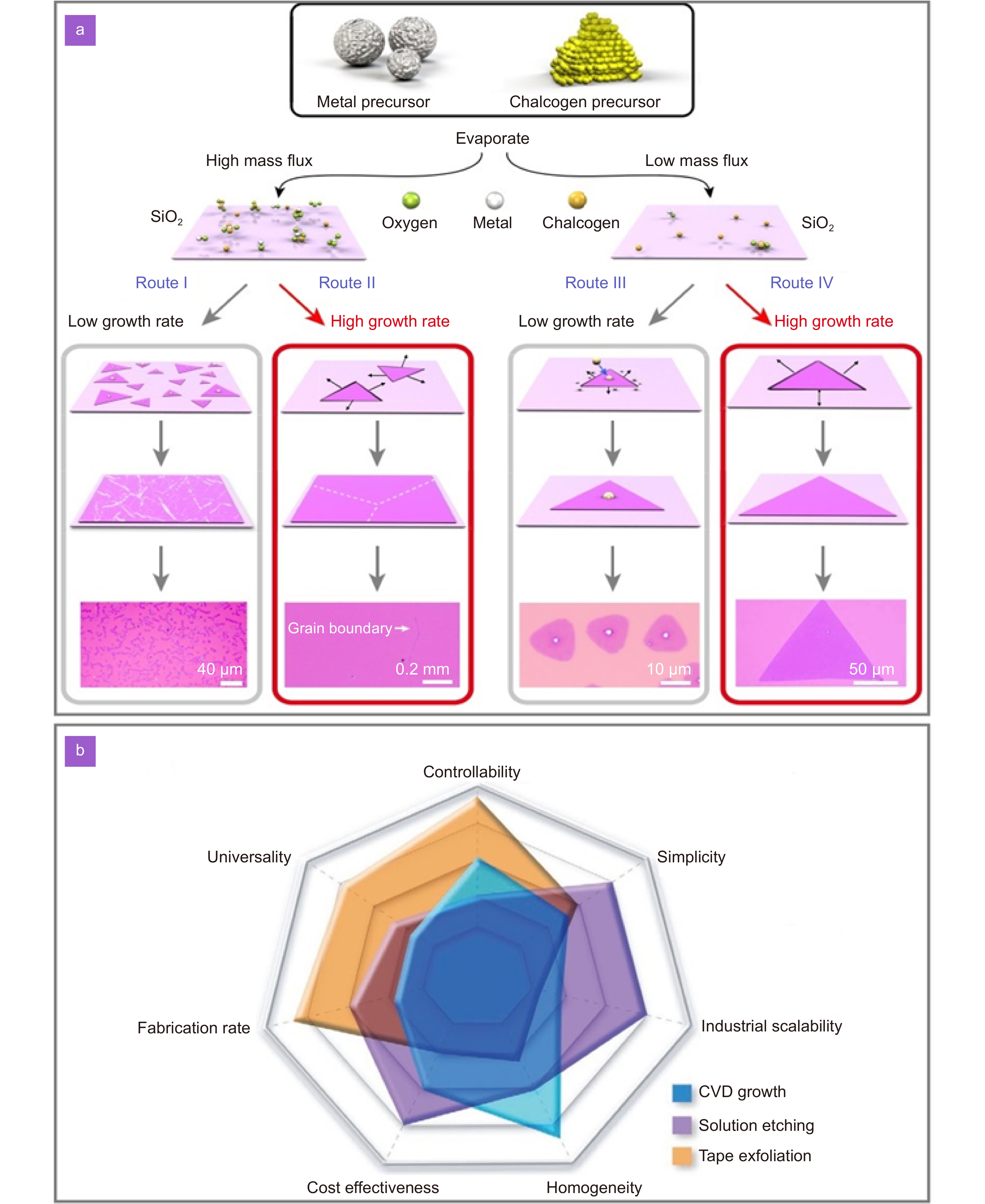 mshwang Fighting Hypoxia to Improve PDT