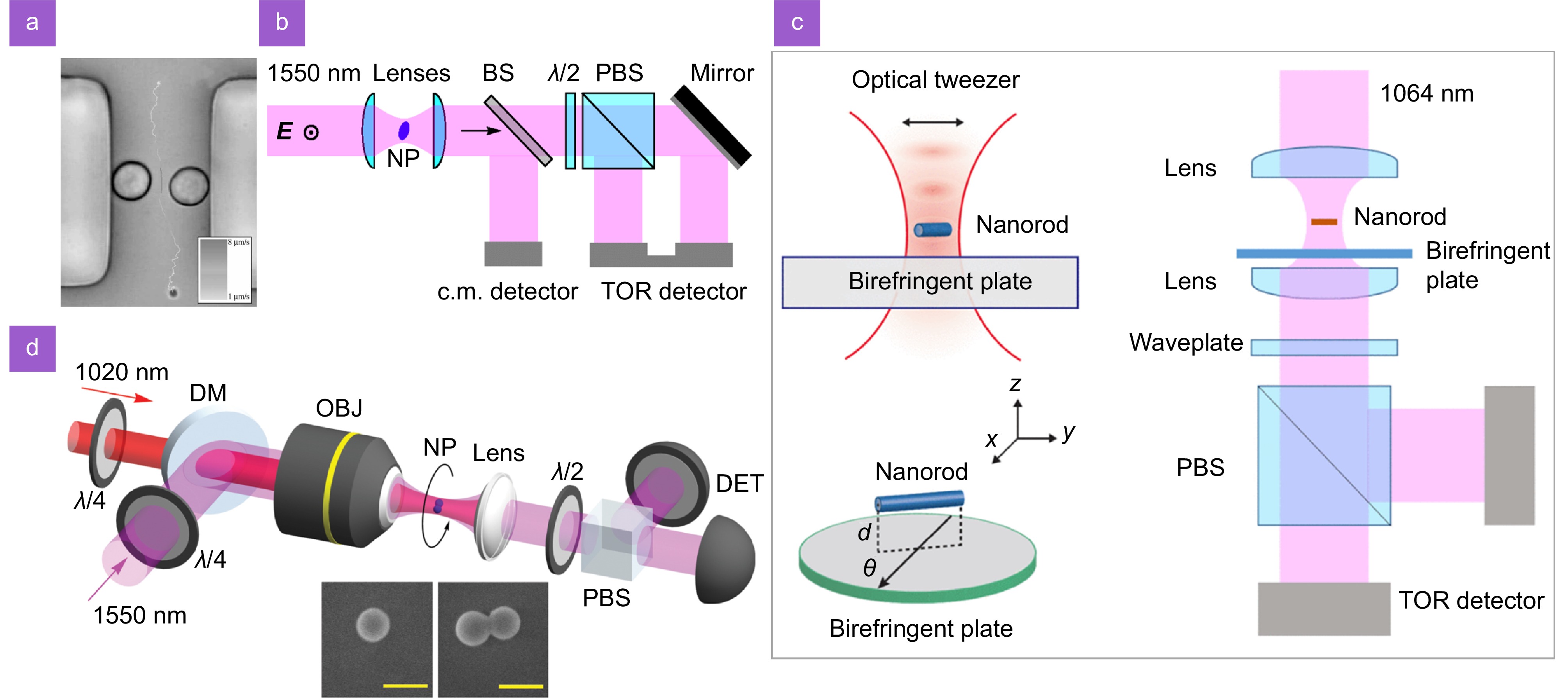 A review on optical torques: from engineered light fields to objects