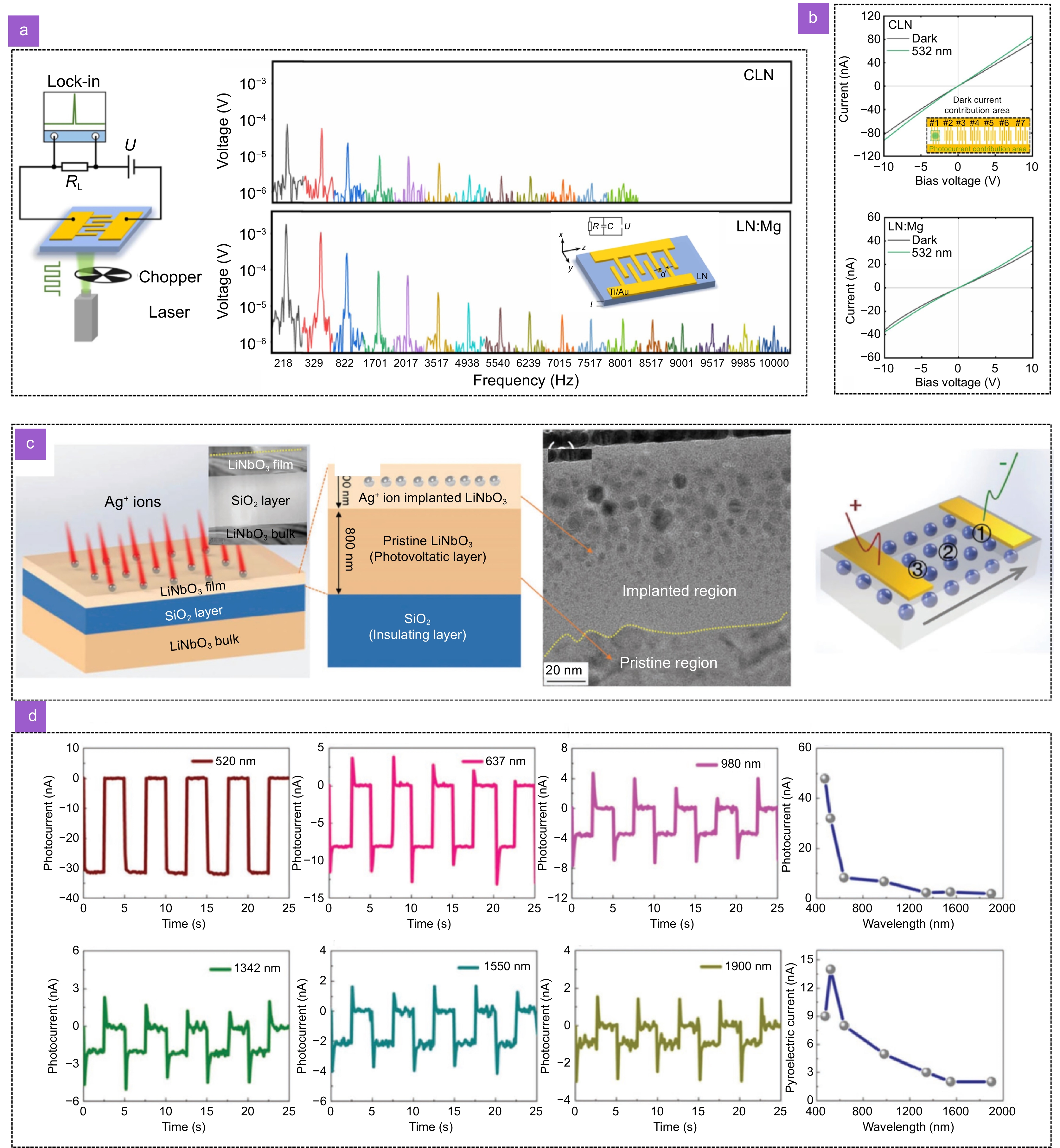 Thin-film lithium niobate-based detector: recent advances and