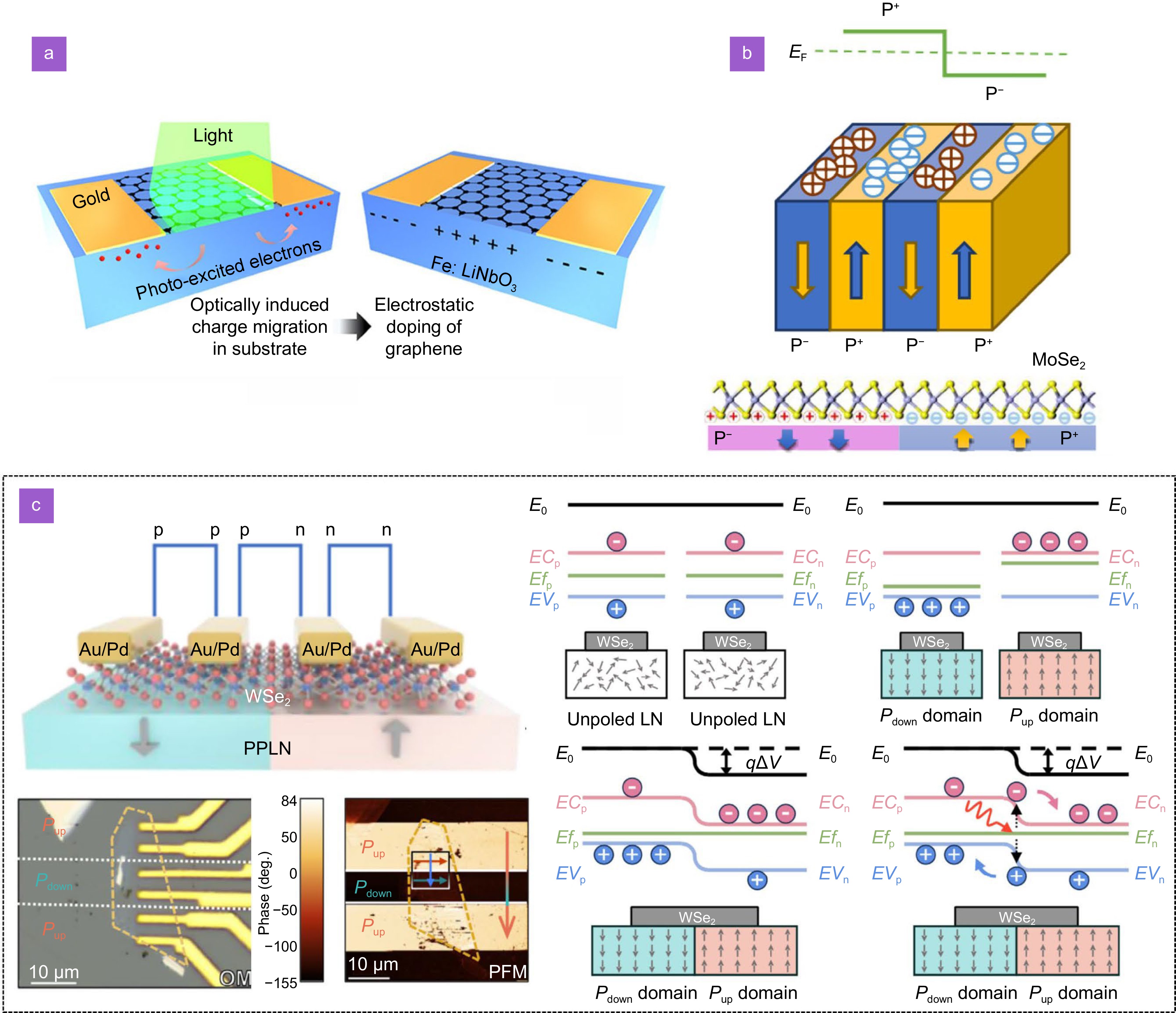 Thin-film lithium niobate-based detector: recent advances and