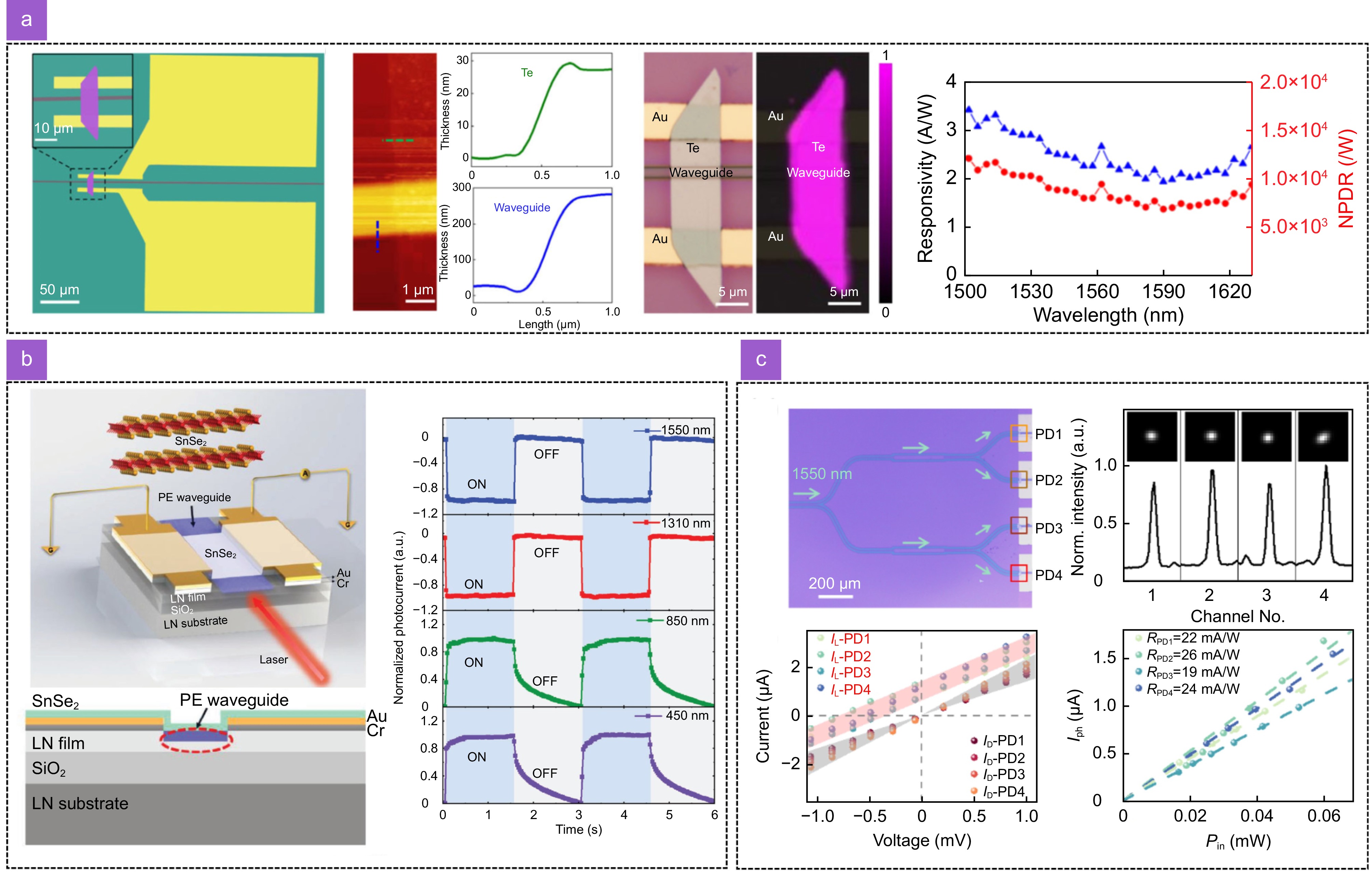 Thin-film lithium niobate-based detector: recent advances and