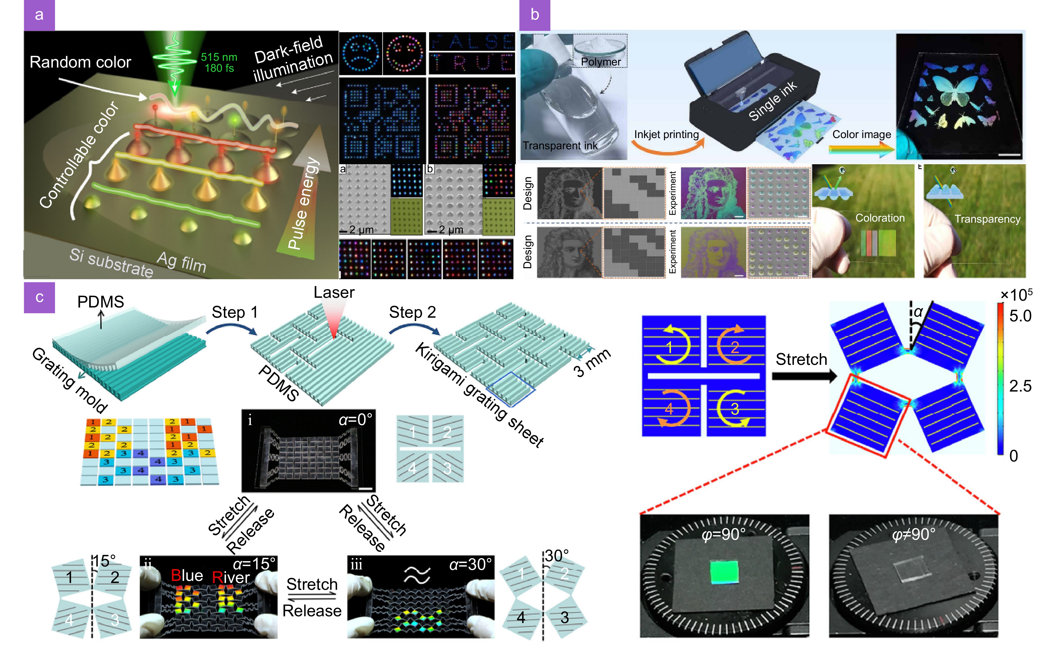 Structural color: an emerging nanophotonic strategy for