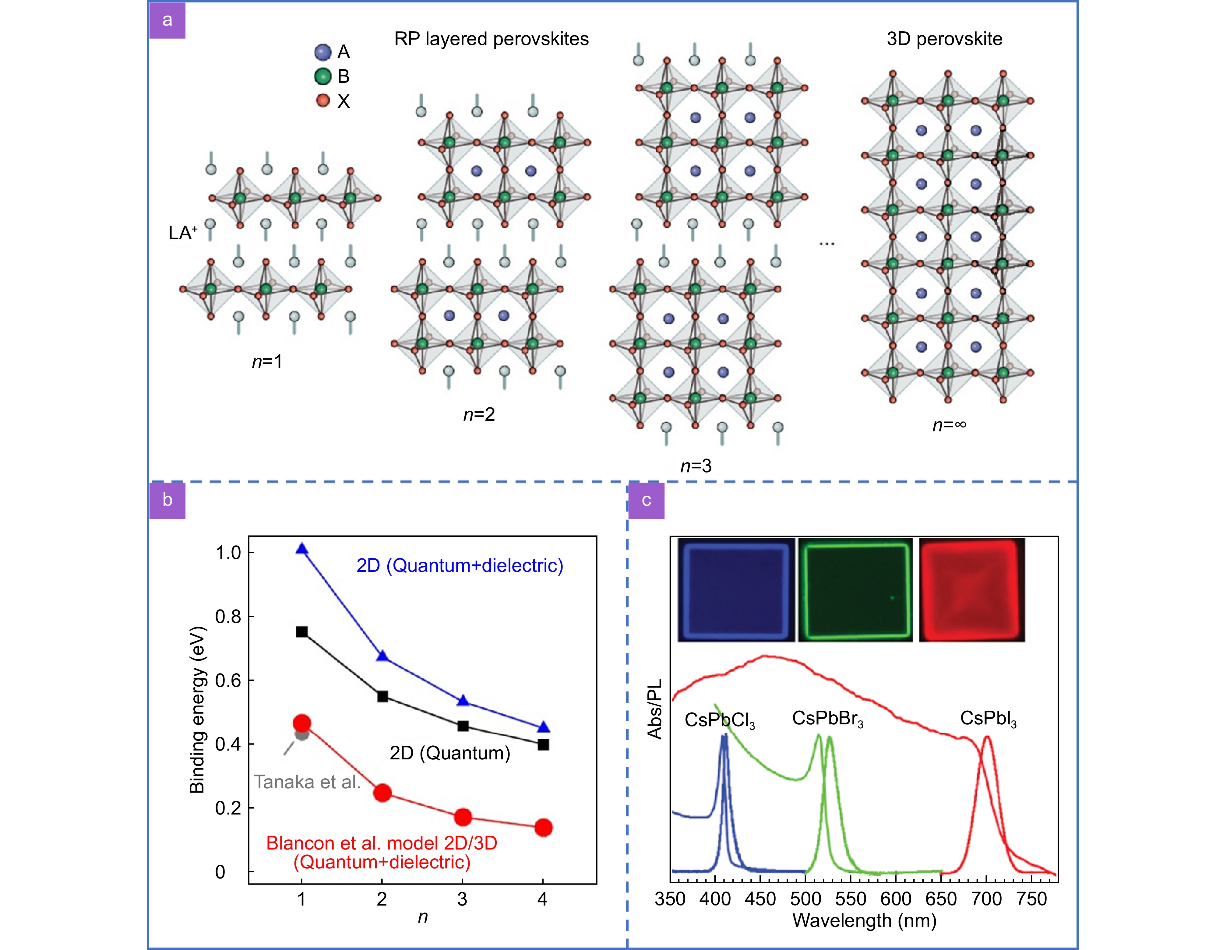 Recent advances in exciton-polariton in perovskite