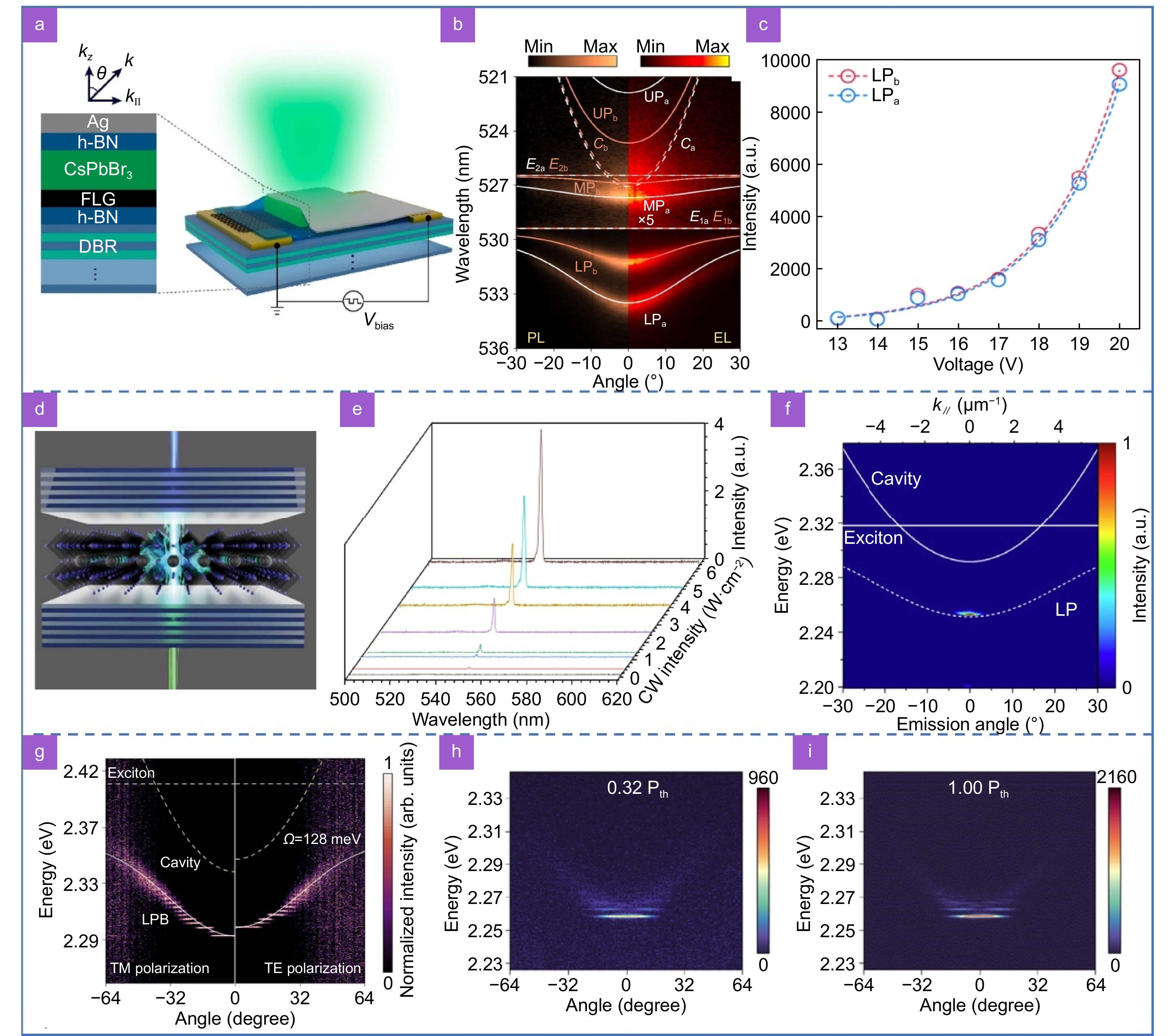 Recent advances in exciton-polariton in perovskite