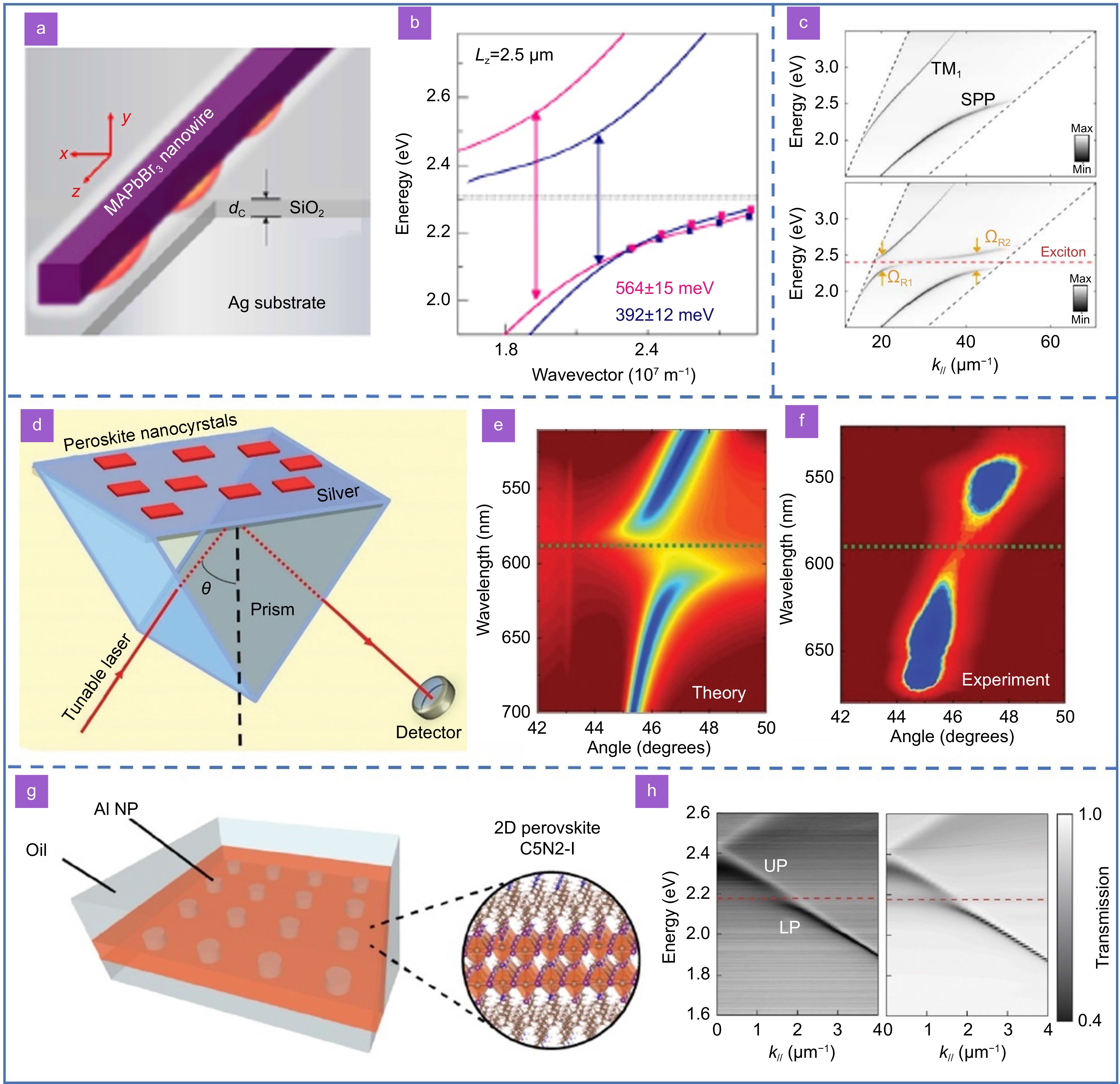Recent advances in exciton-polariton in perovskite