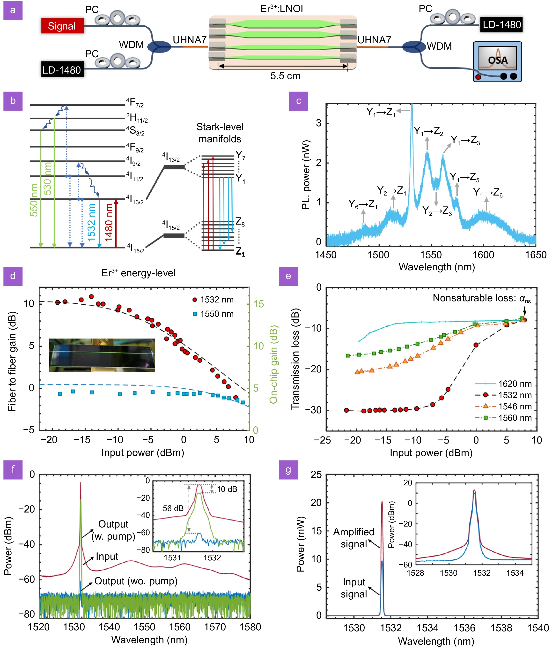 High fiber-to-fiber net gain in erbium-doped thin film lithium