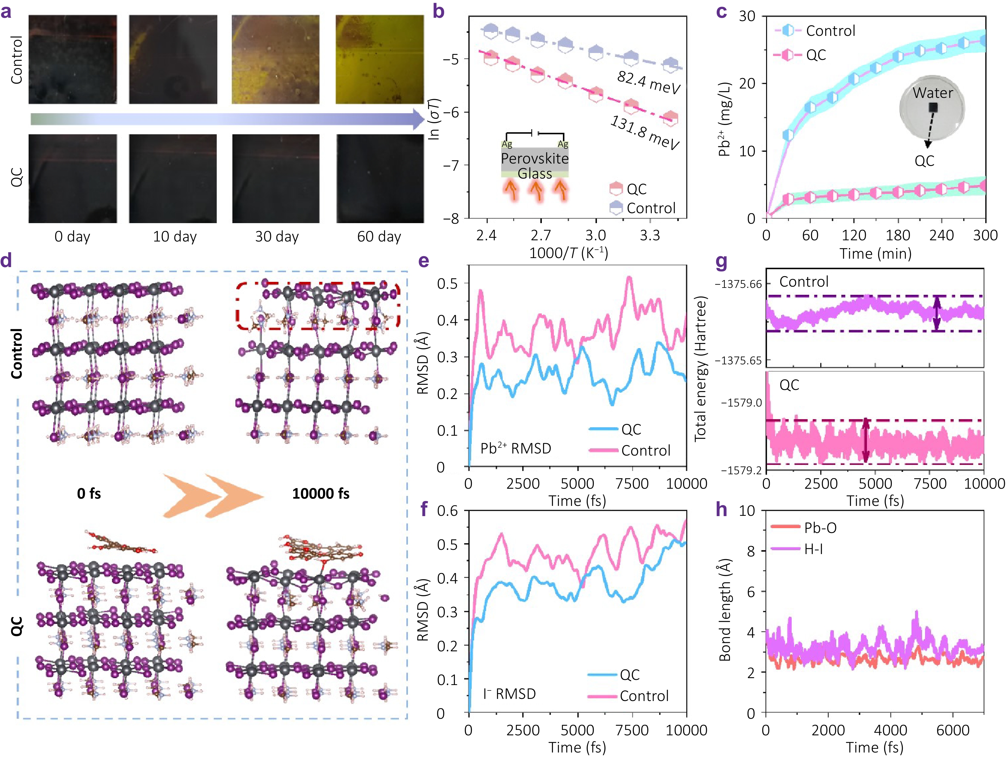 Highly sensitive DUV-SWIR photodetectors by natural flavonoid