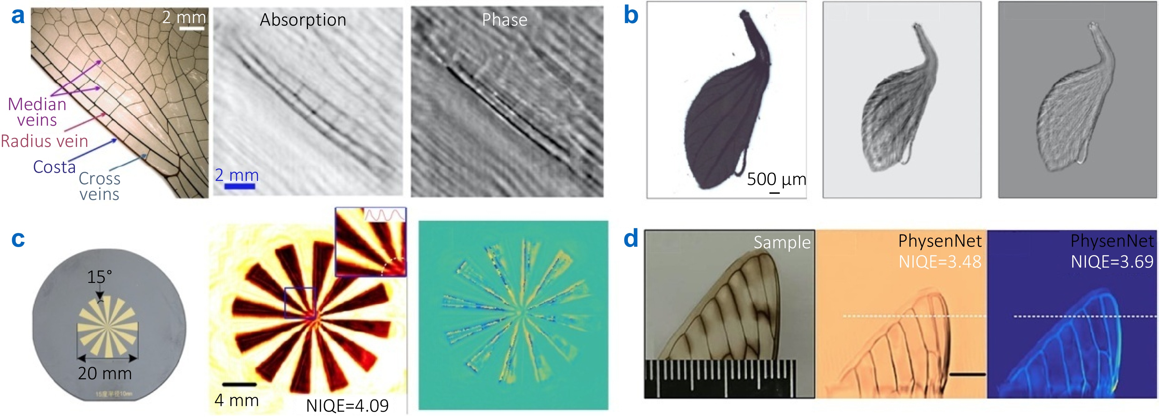 Terahertz imaging technology: progress and applications