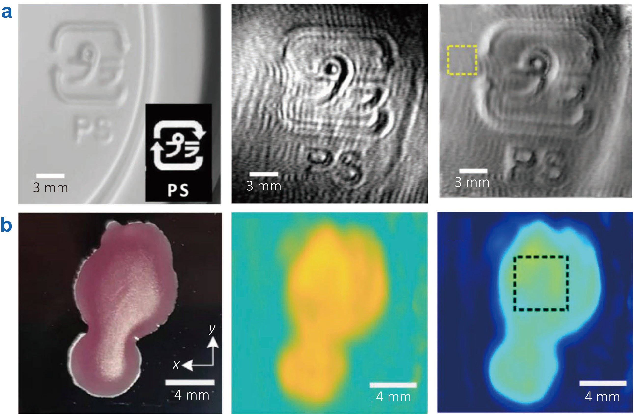 Terahertz imaging technology: progress and applications