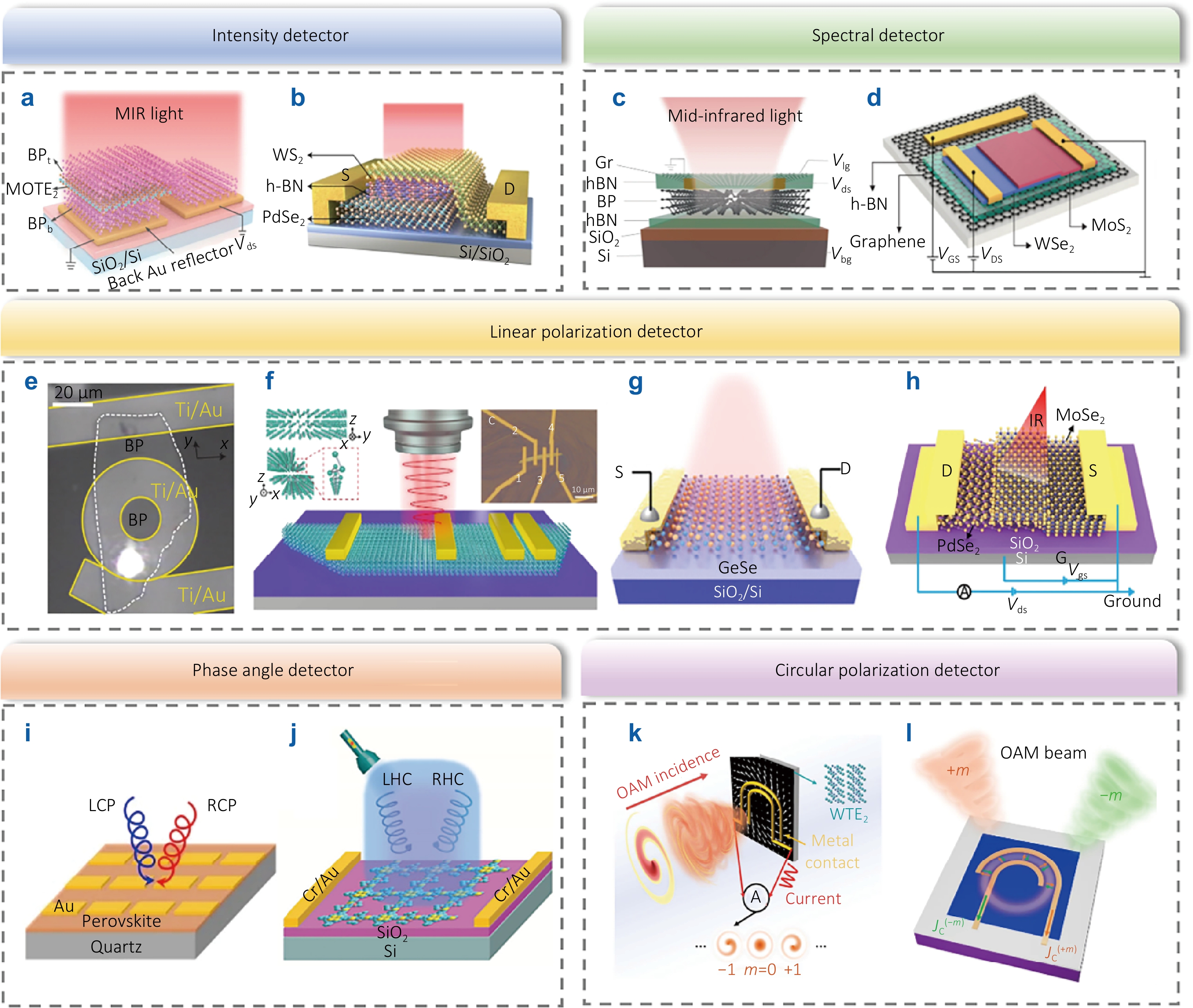 Multi-dimensional photodetection: from material intrinsic
