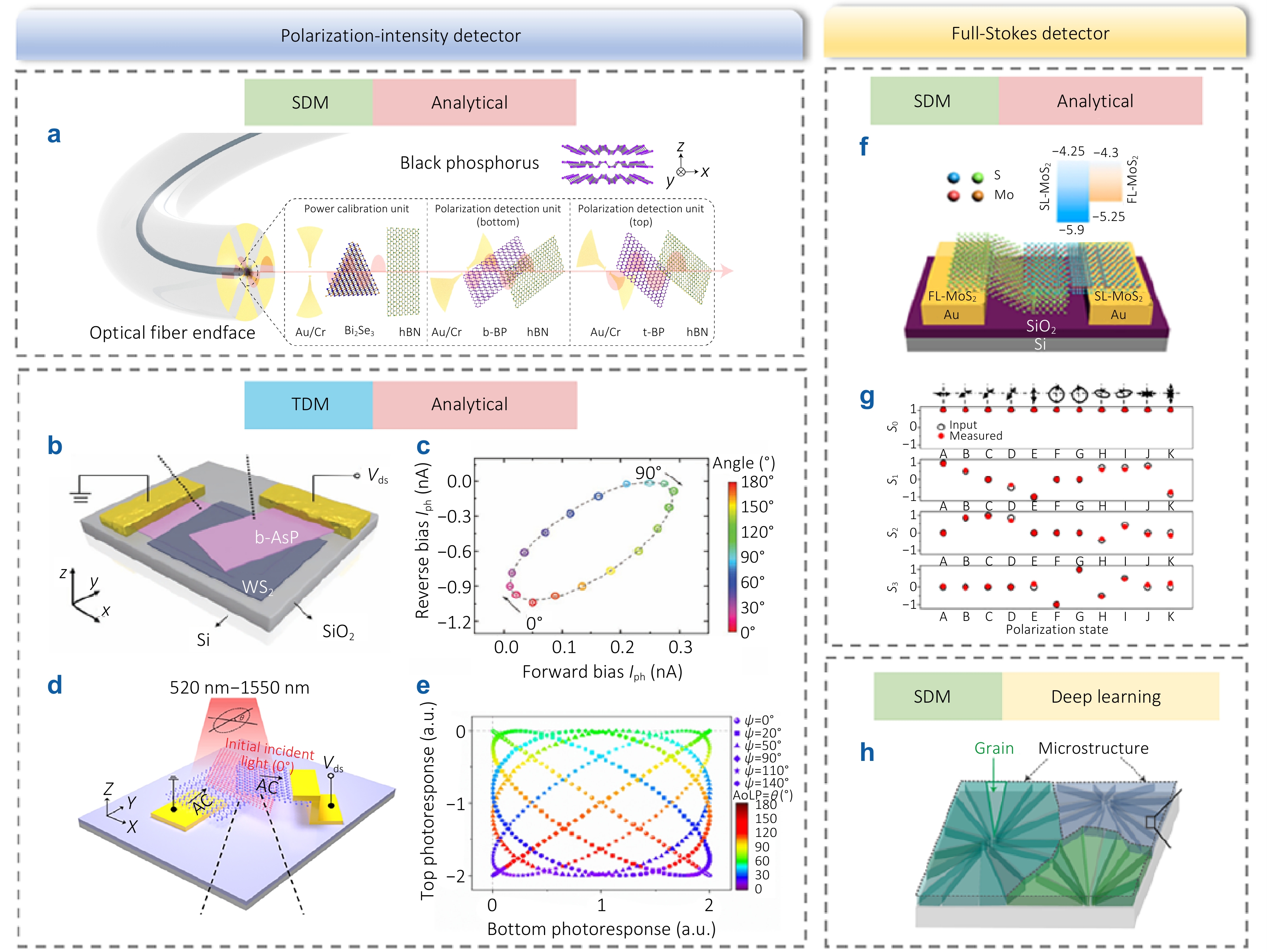 Multi-dimensional photodetection: from material intrinsic