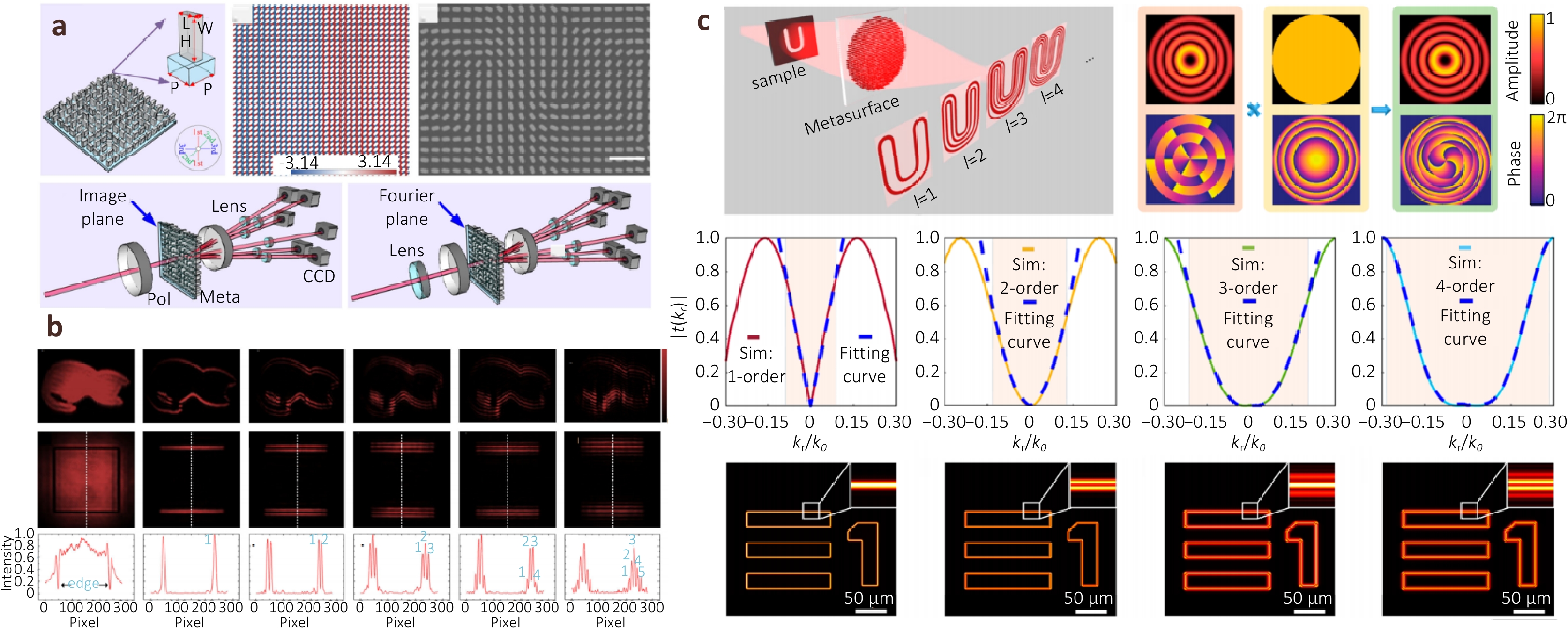 オーダー専用ページ Metasurface differential optics: from classical to quantum