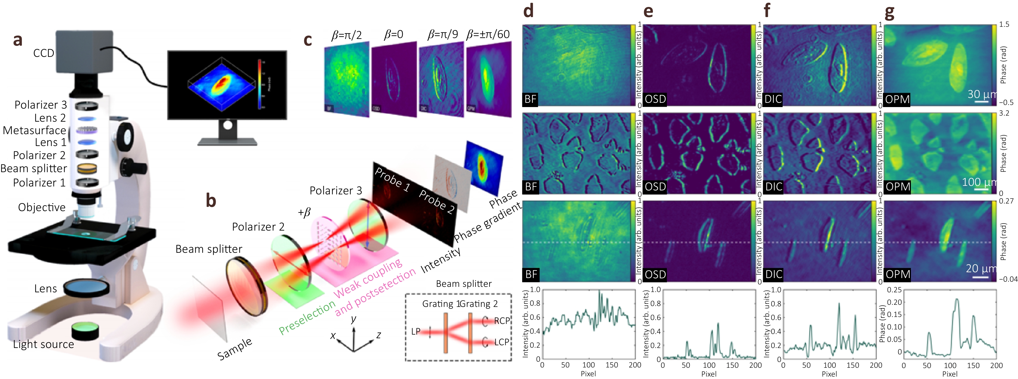 Metasurface differential optics: from classical to quantum