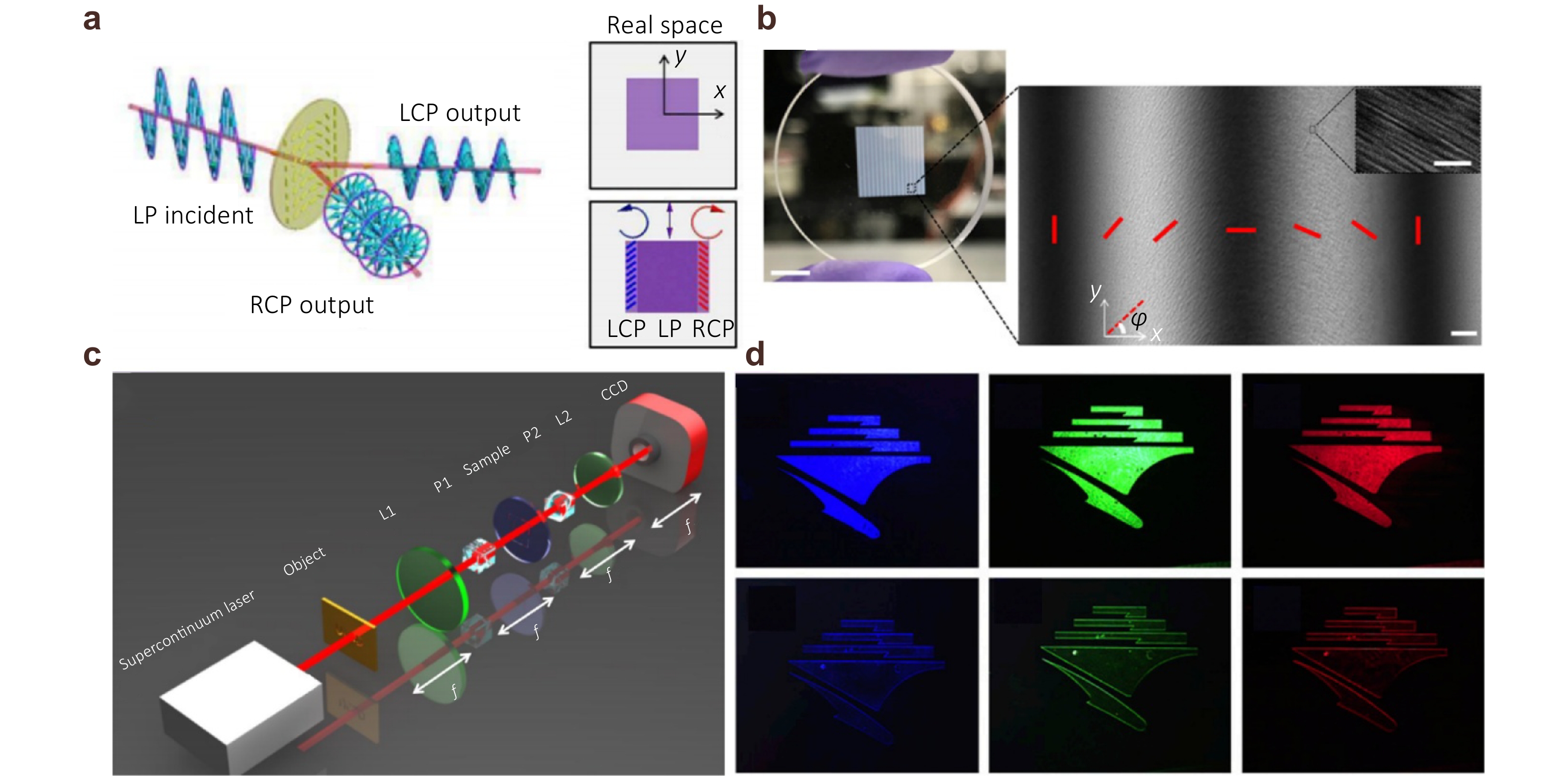 Metasurface differential optics: from classical to quantum