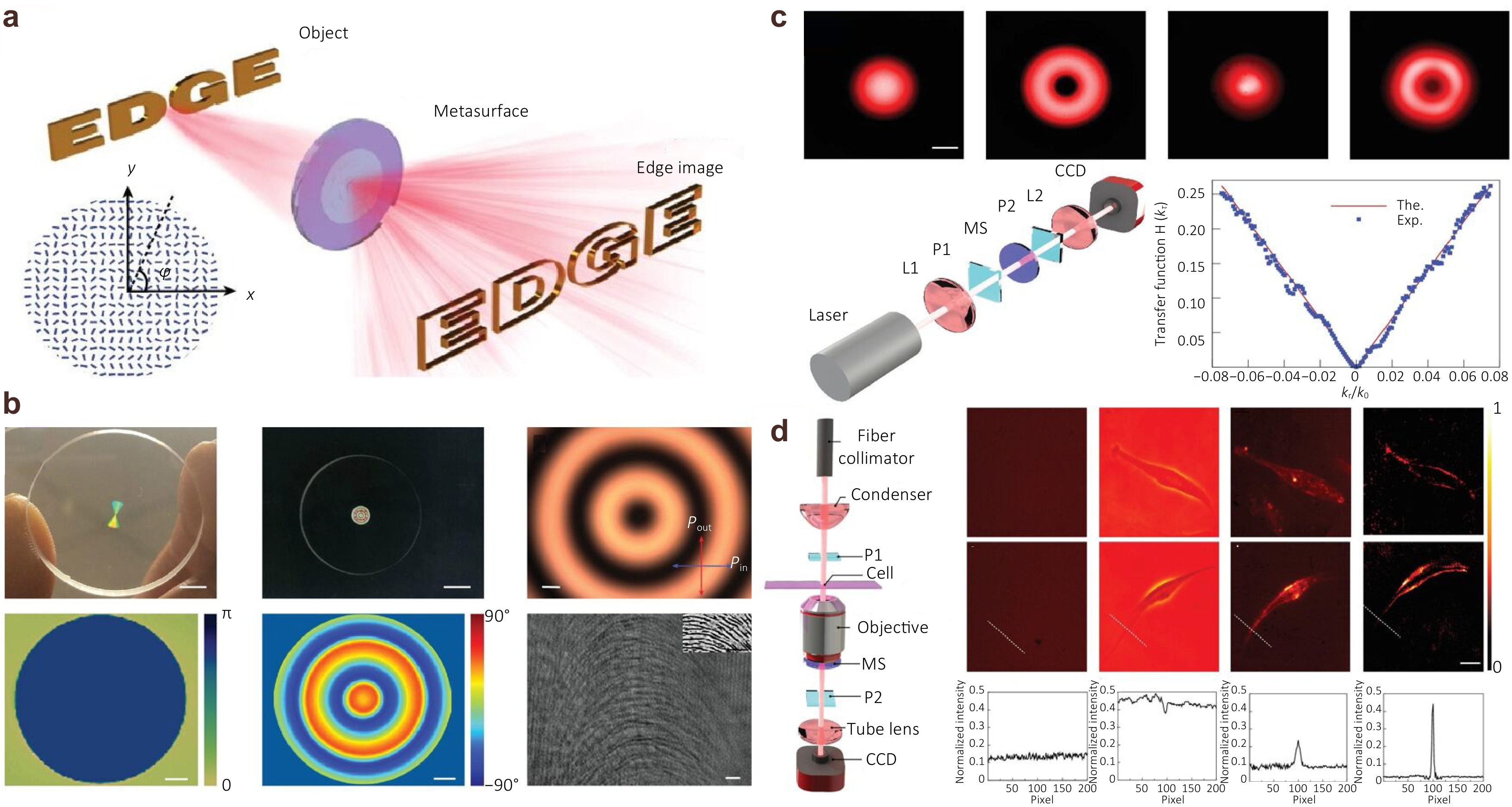 Metasurface differential optics: from classical to quantum