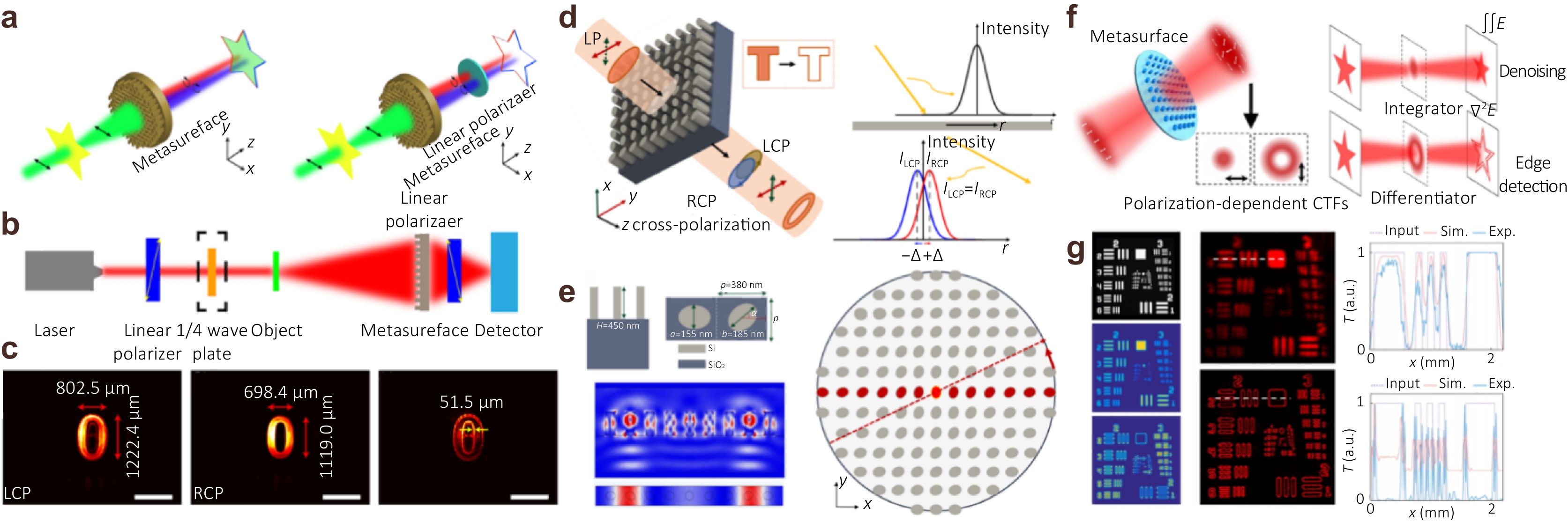 Metasurface differential optics: from classical to quantum