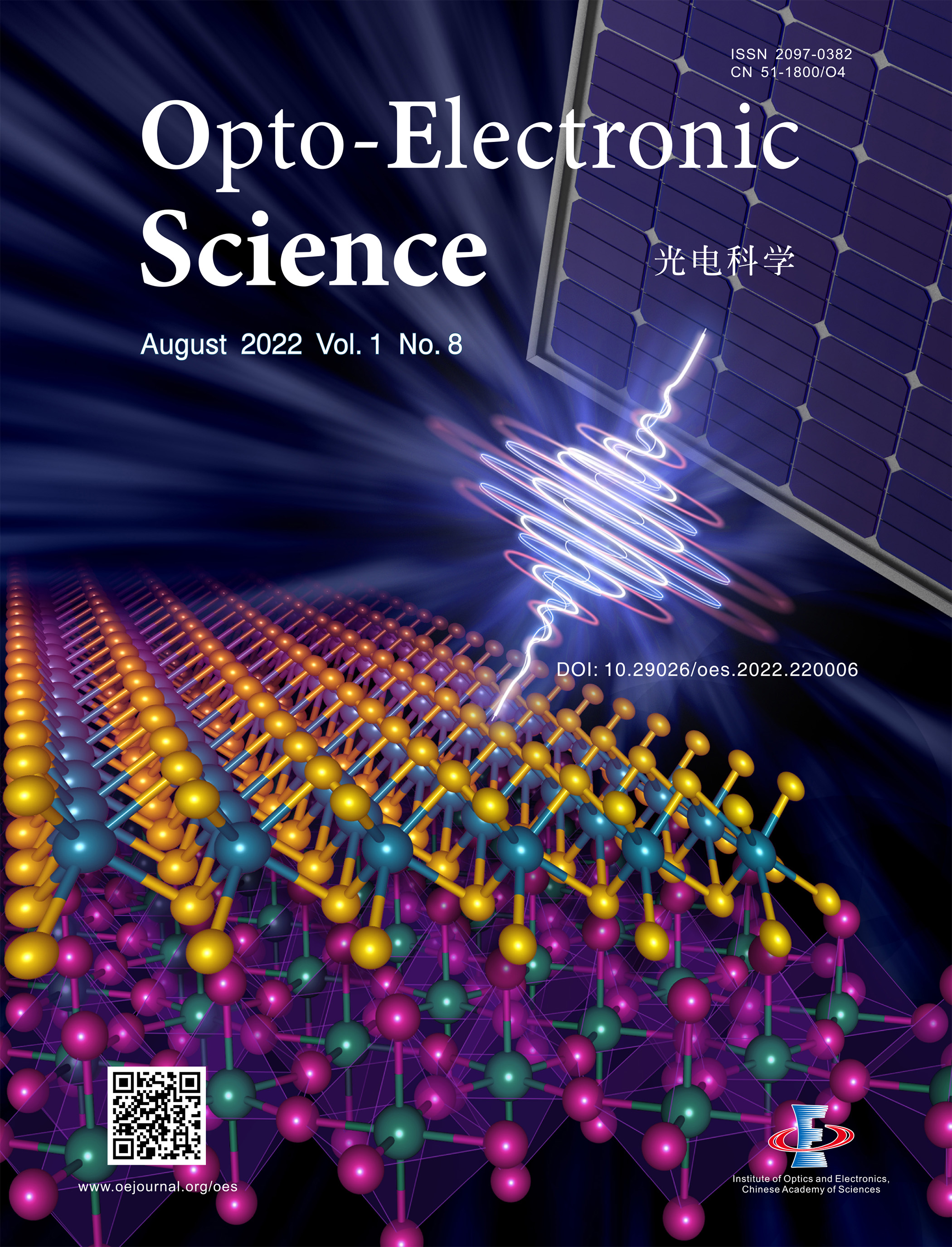 Perovskite-transition metal dichalcogenides heterostructures