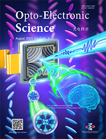A review of liquid crystal spatial light modulators: devices