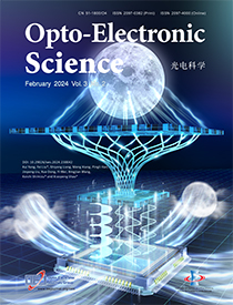 Data-driven polarimetric imaging: a review